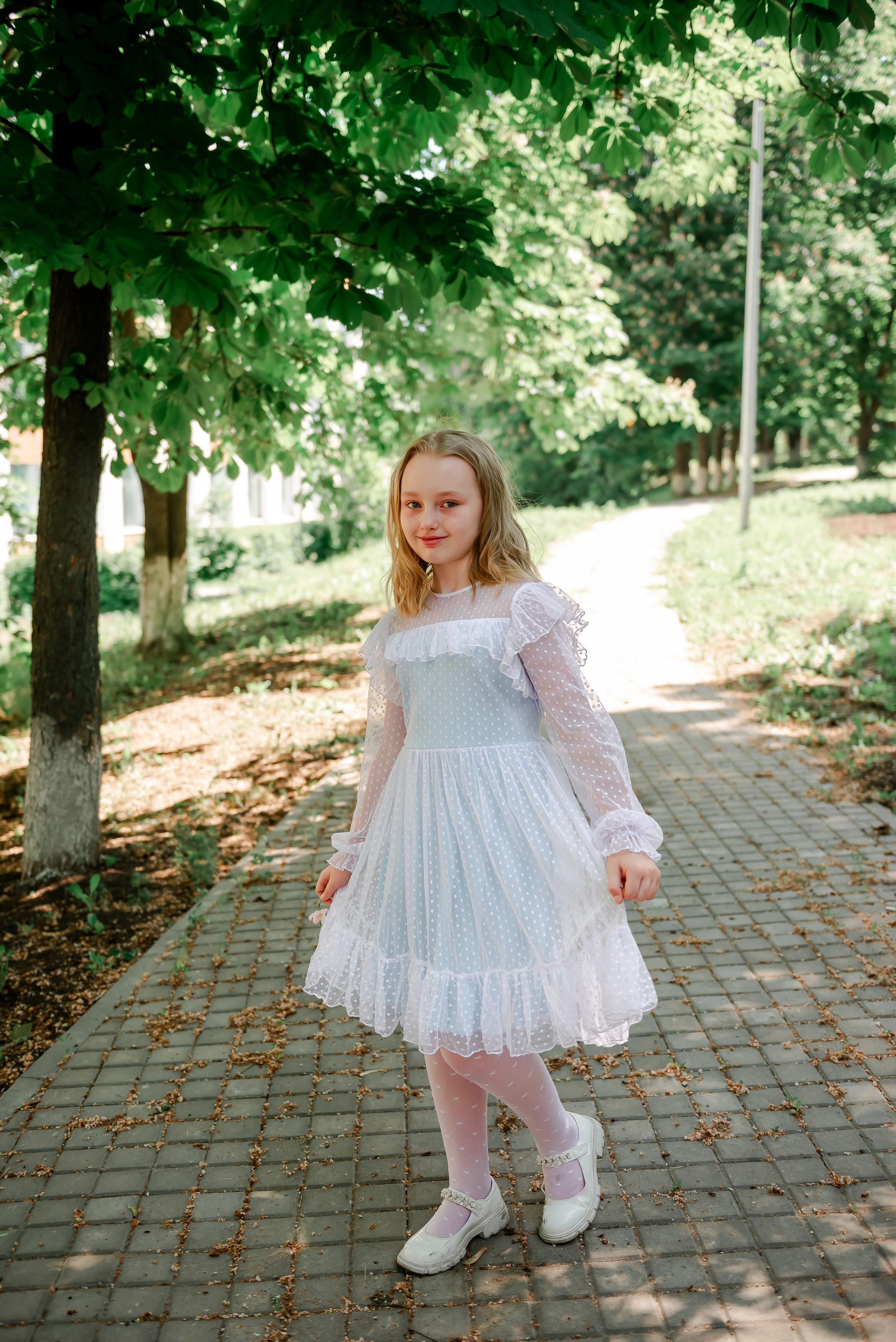 4 «Б» |г.Белгород |31 школа|2024-2025. ALBUMIA