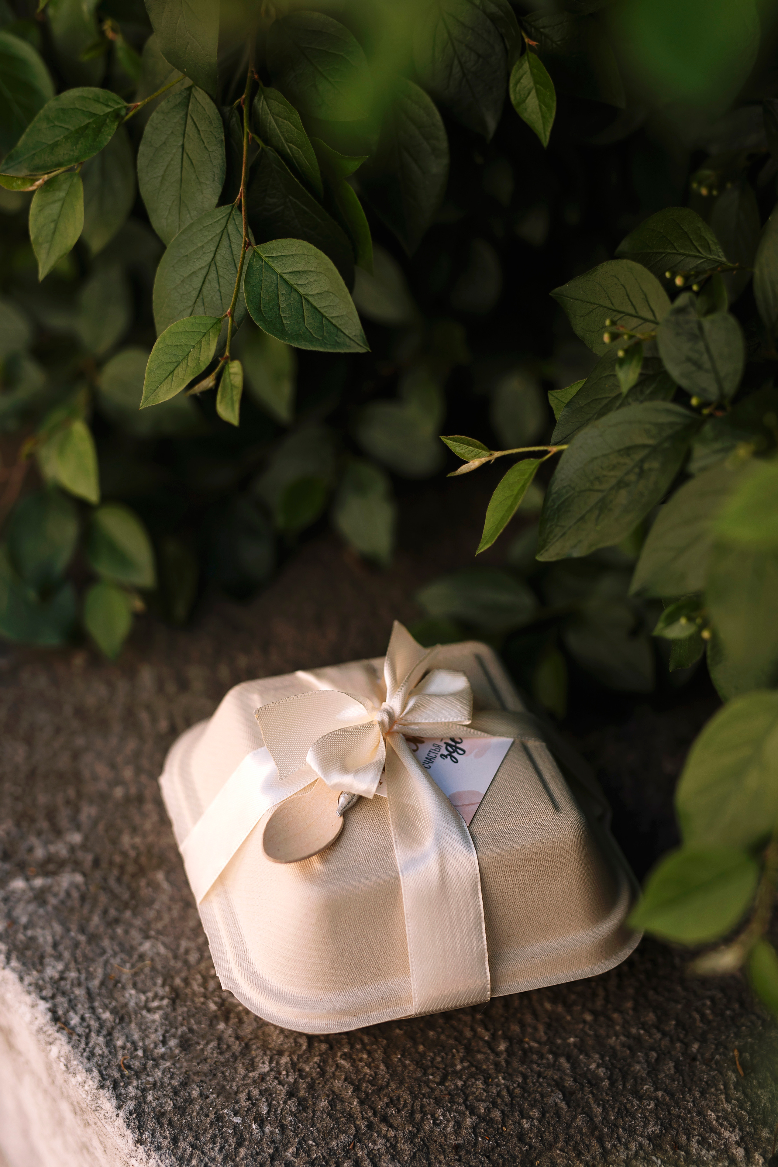 Контент для Насти. Фотограф Москва Мария Захарова