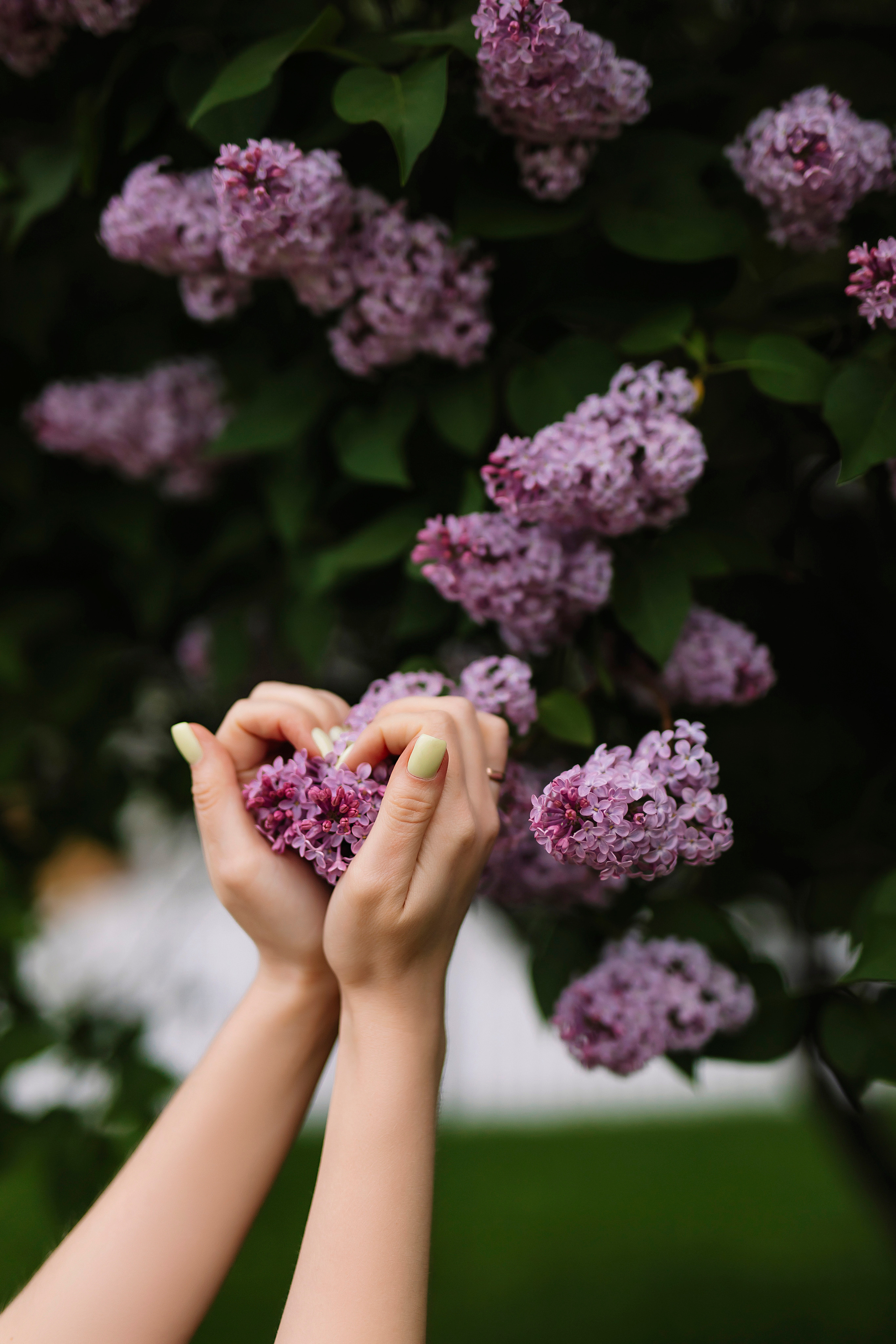 Прогулка в парке Коломенское. Фотограф Москва Мария Захарова