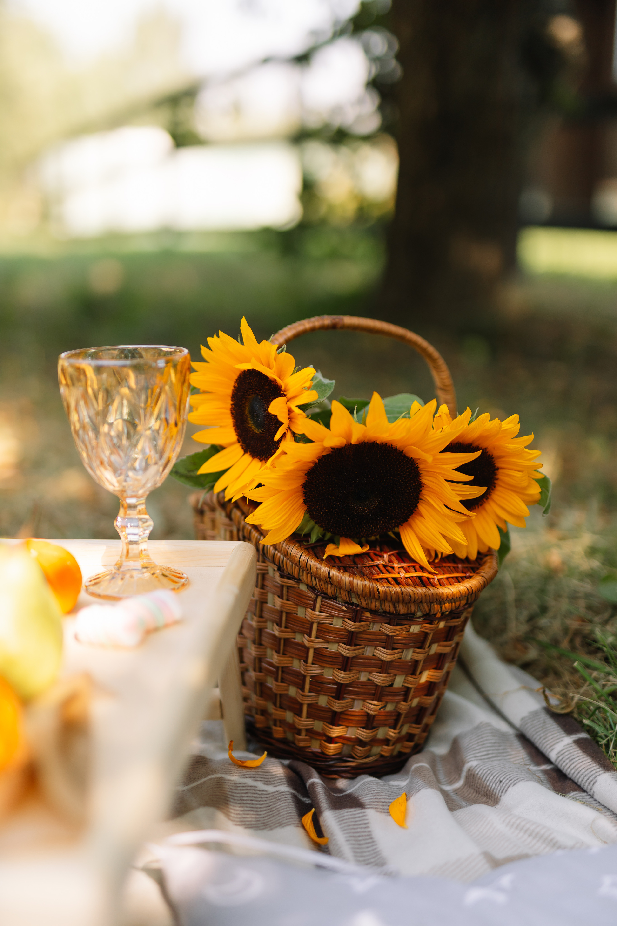 Семейный пикник. Фотограф Москва Мария Захарова
