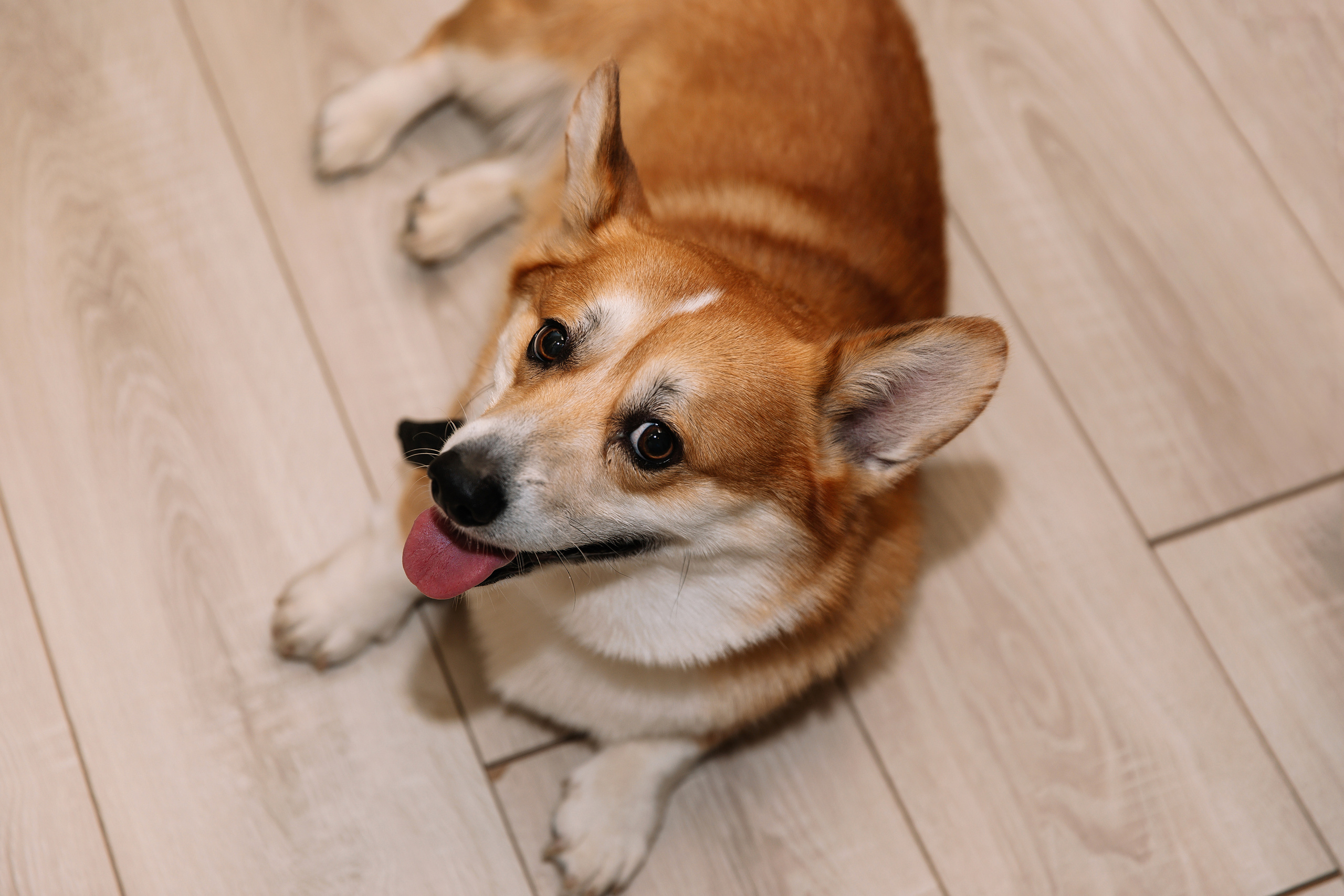 Дни Рождения, юбилеи. Фотограф Москва Мария Захарова