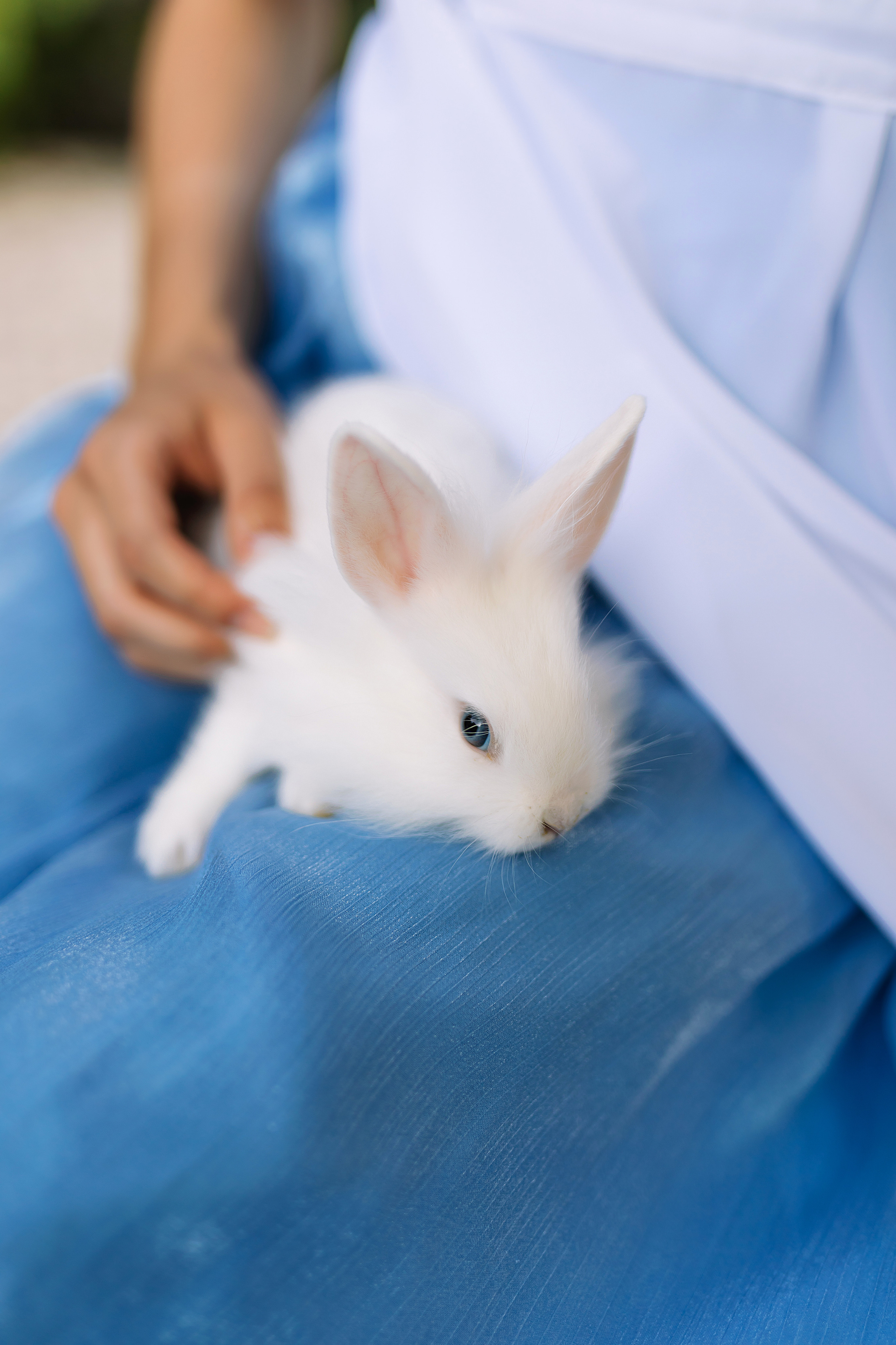 Настя в стране чудес. Фотограф Москва Мария Захарова