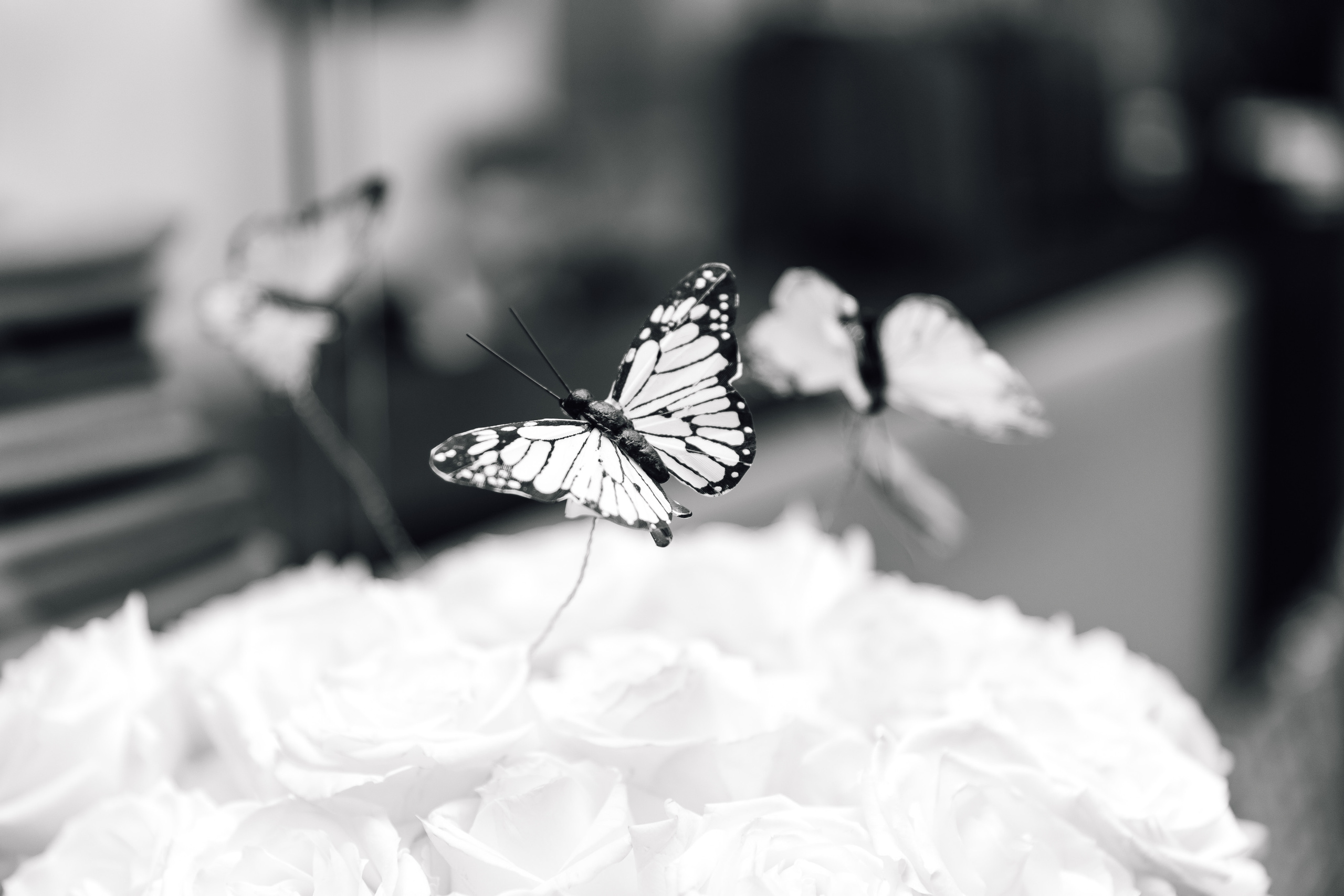 Показ коллекции Любови Милосердовой. Фотограф Москва Мария Захарова