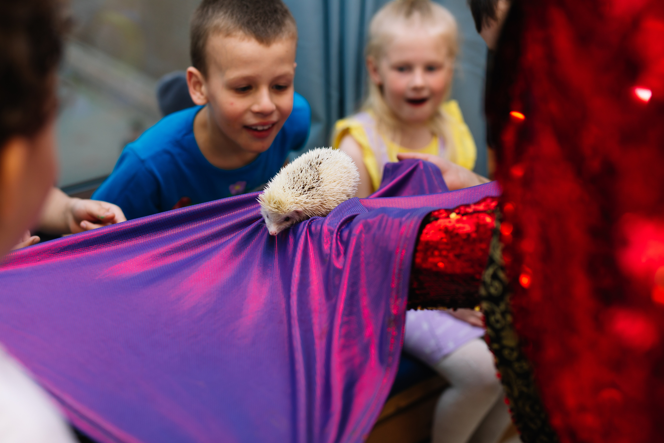 Дни Рождения, юбилеи. Фотограф Москва Мария Захарова