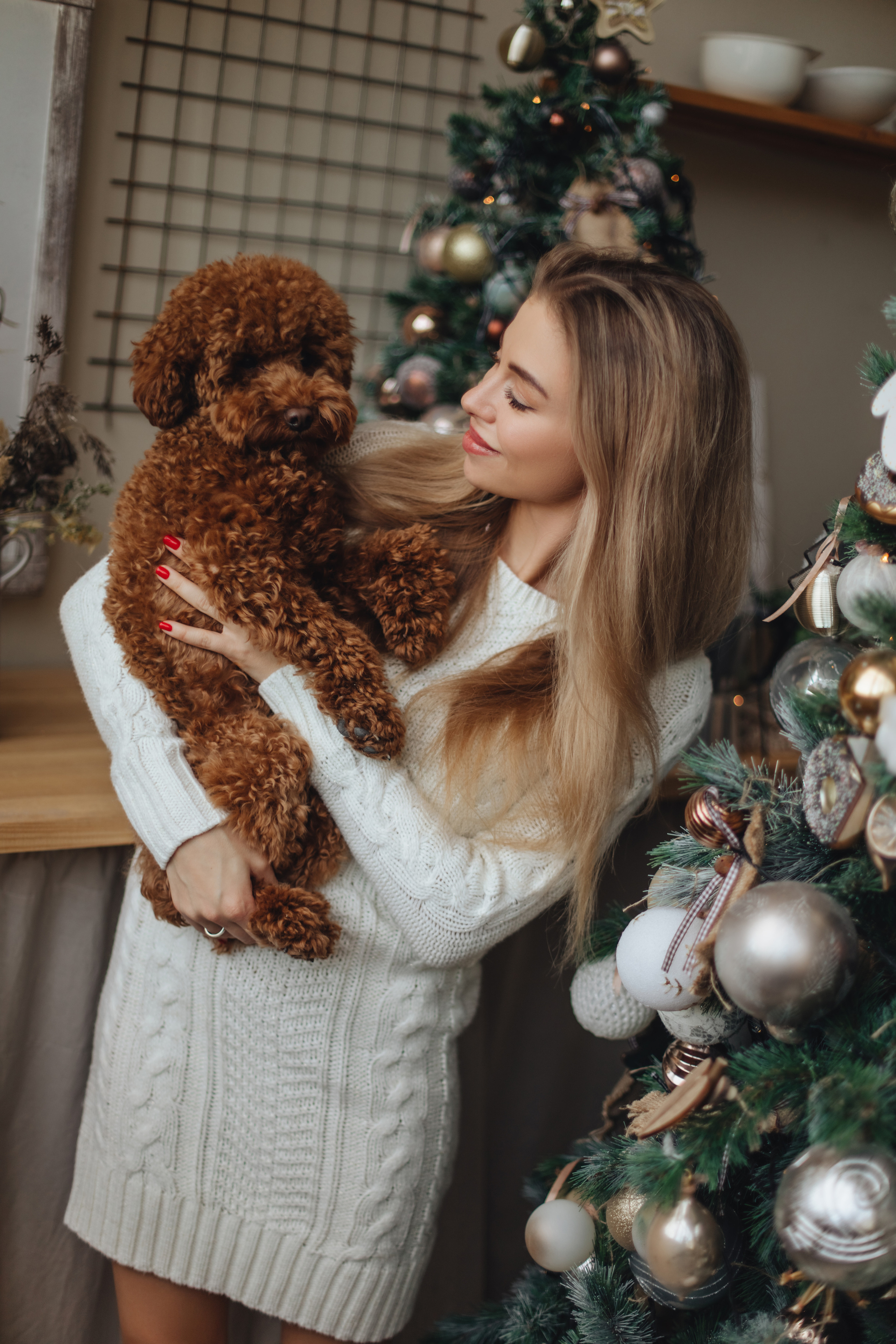 Girls… New Year. NatalieDmi — фотосессия беременности, семейный фотограф, портрет