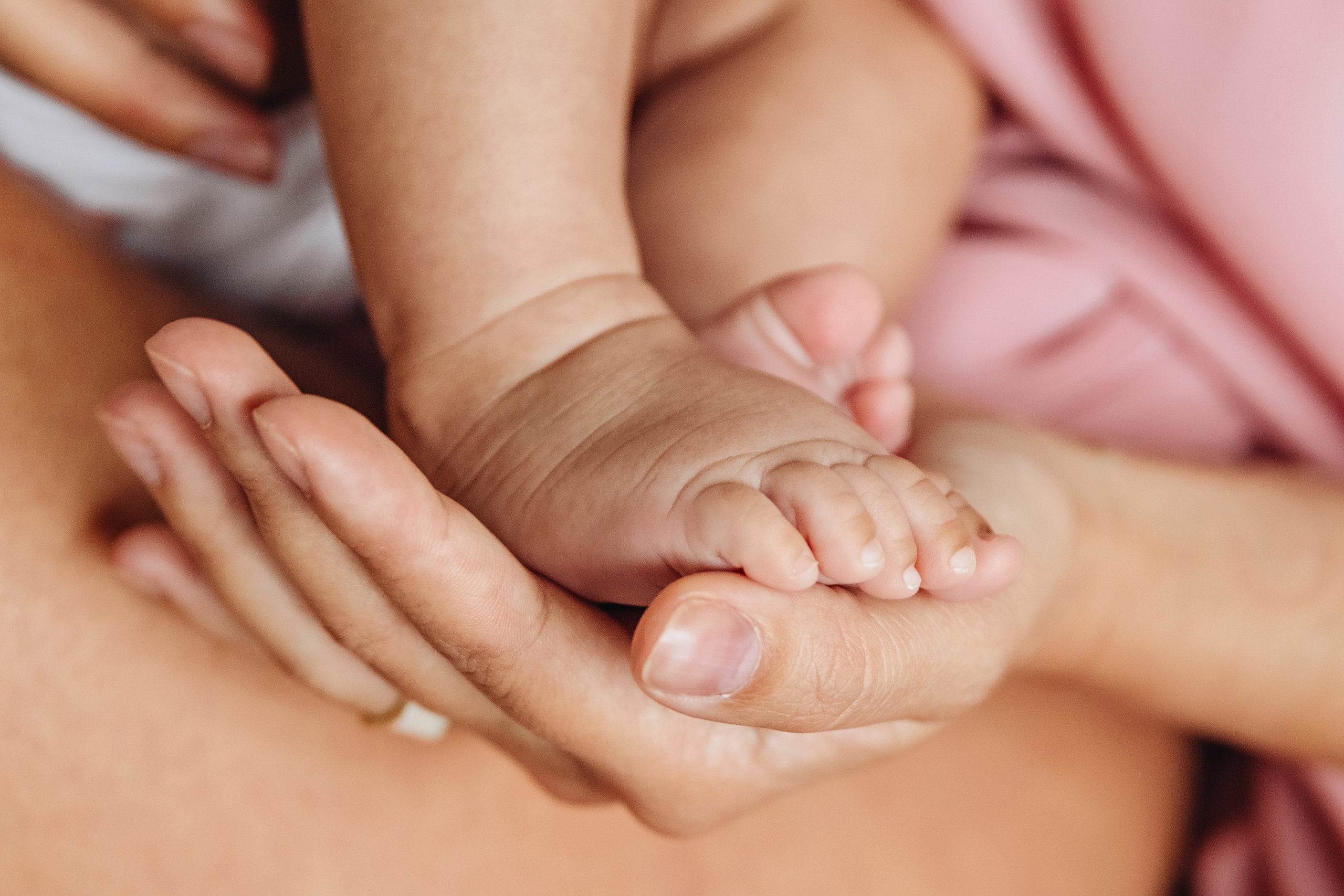 Vera & Valeria. NatalieDmi — фотосессия беременности, семейный фотограф, портрет