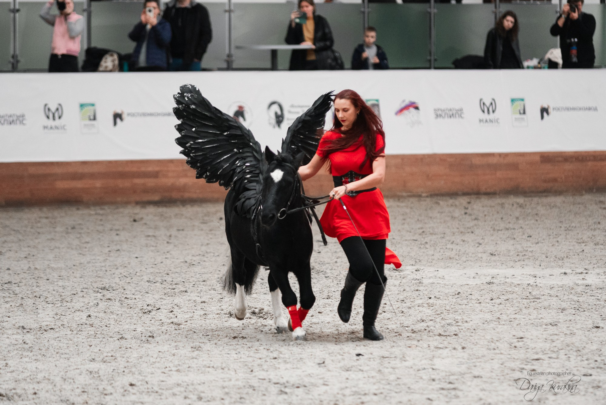 8-я международная выставка Конная Россия. Конный фотограф Куракина Дарья • Фотосессии с лошадьми