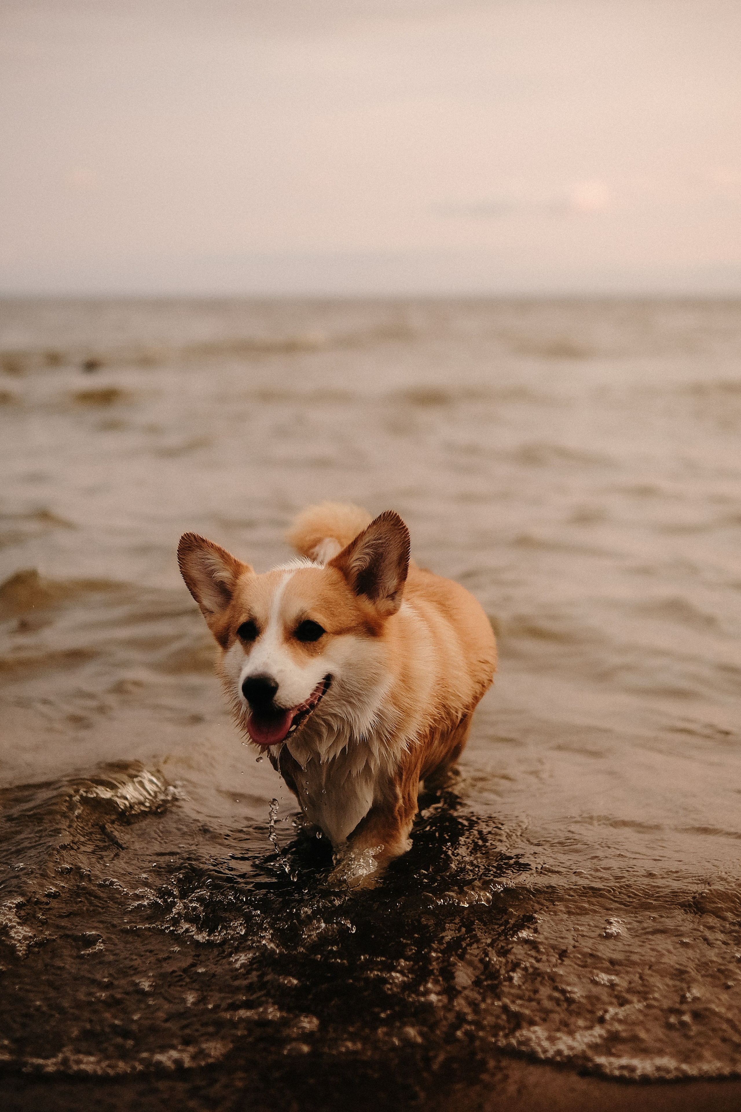 Вика & Никита. Phdkvmr.ru