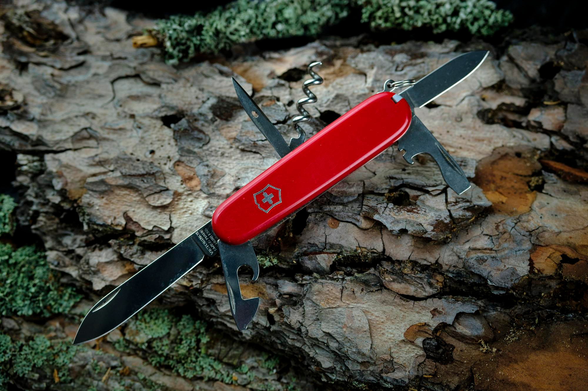 Commercial. Alexandr Staub Multidisciplinary artist