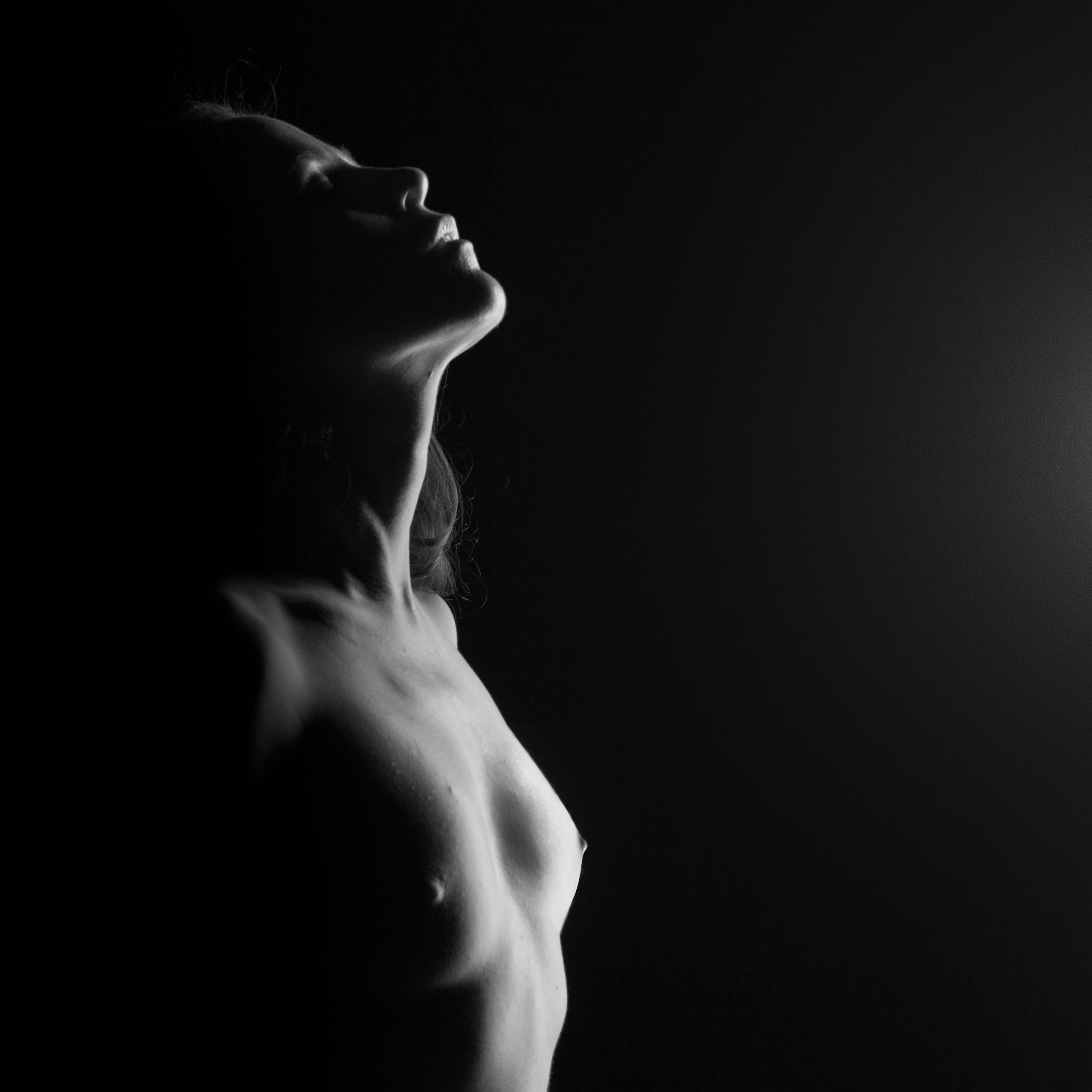 BodyShape. Alexandr Staub Multidisciplinary artist