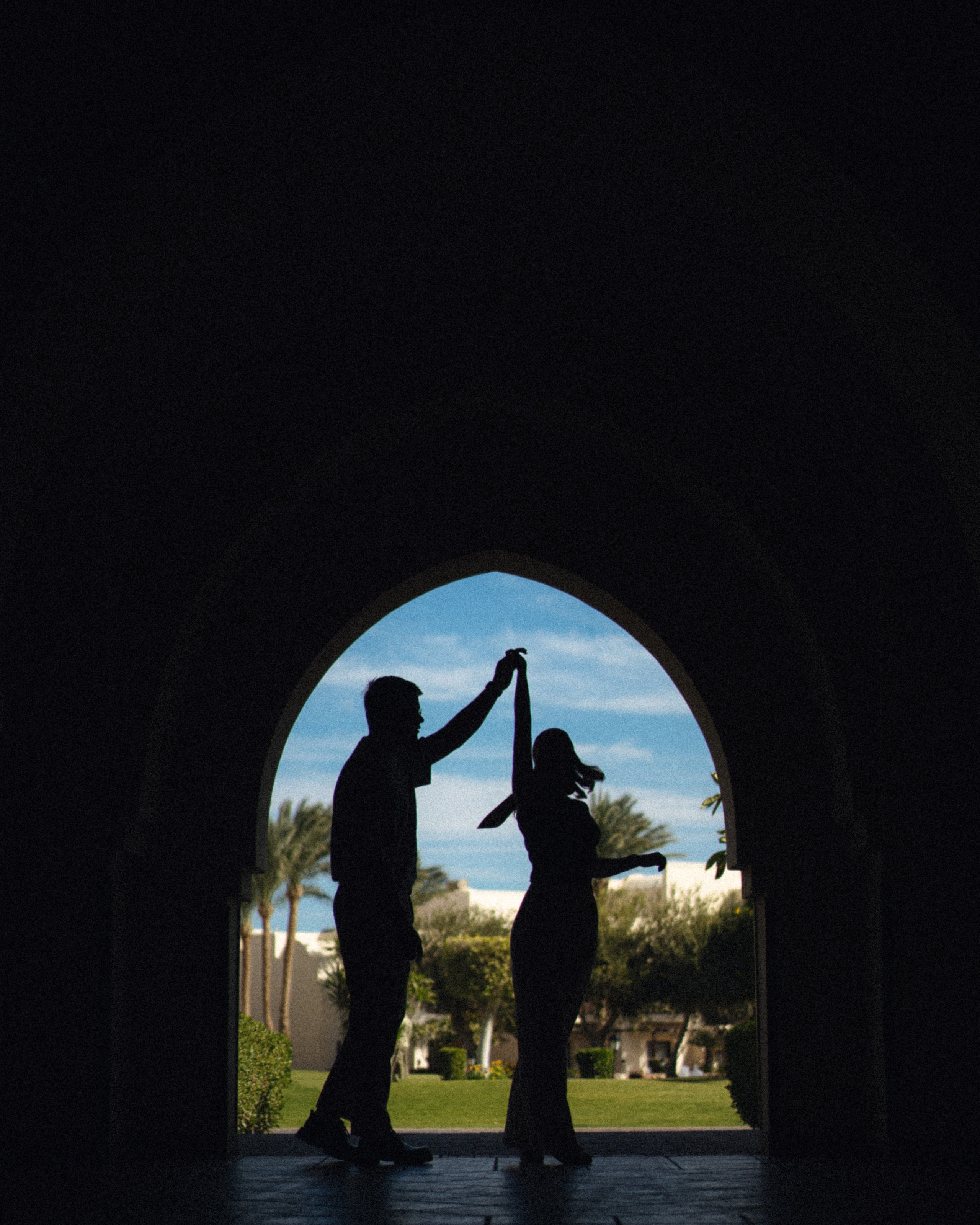 Арабика. Никита Погосов