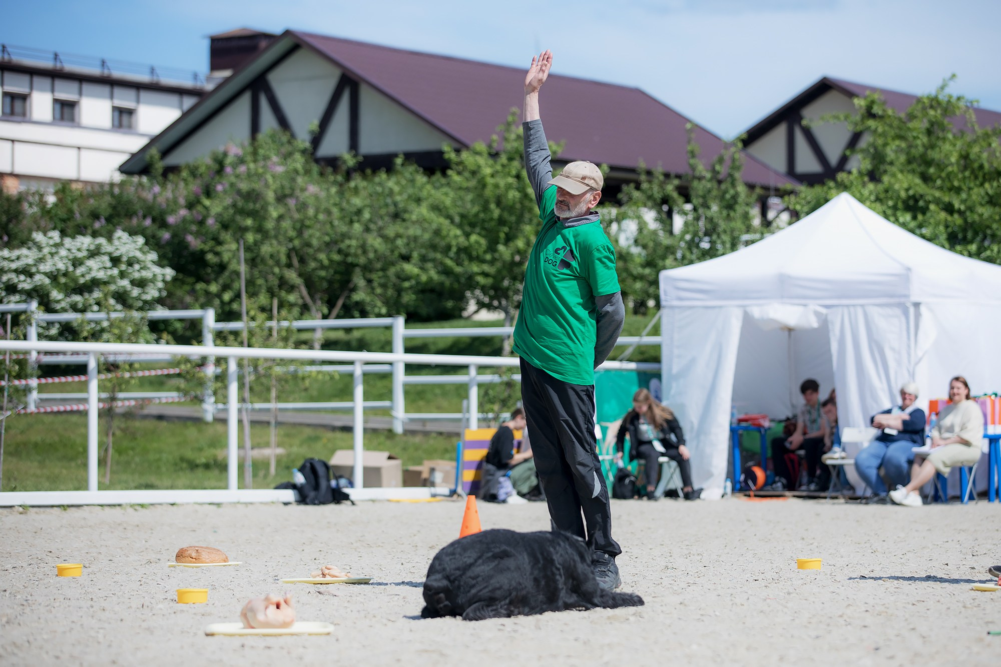 Показательные выступления по NoseWork на выставке «Россия». Фотограф-анималист Mary Mart — Москва, Питер