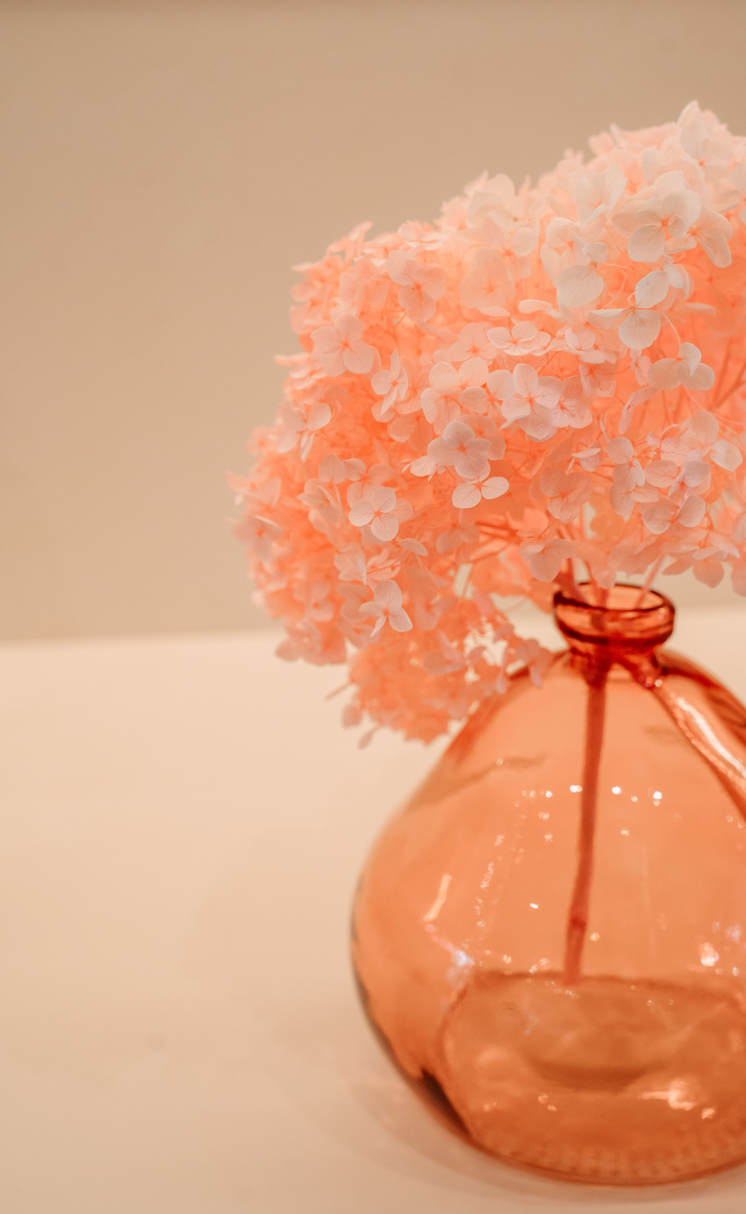 AGLAYA / ателье премиум одежды. Саша Копылов, фотограф в Казани