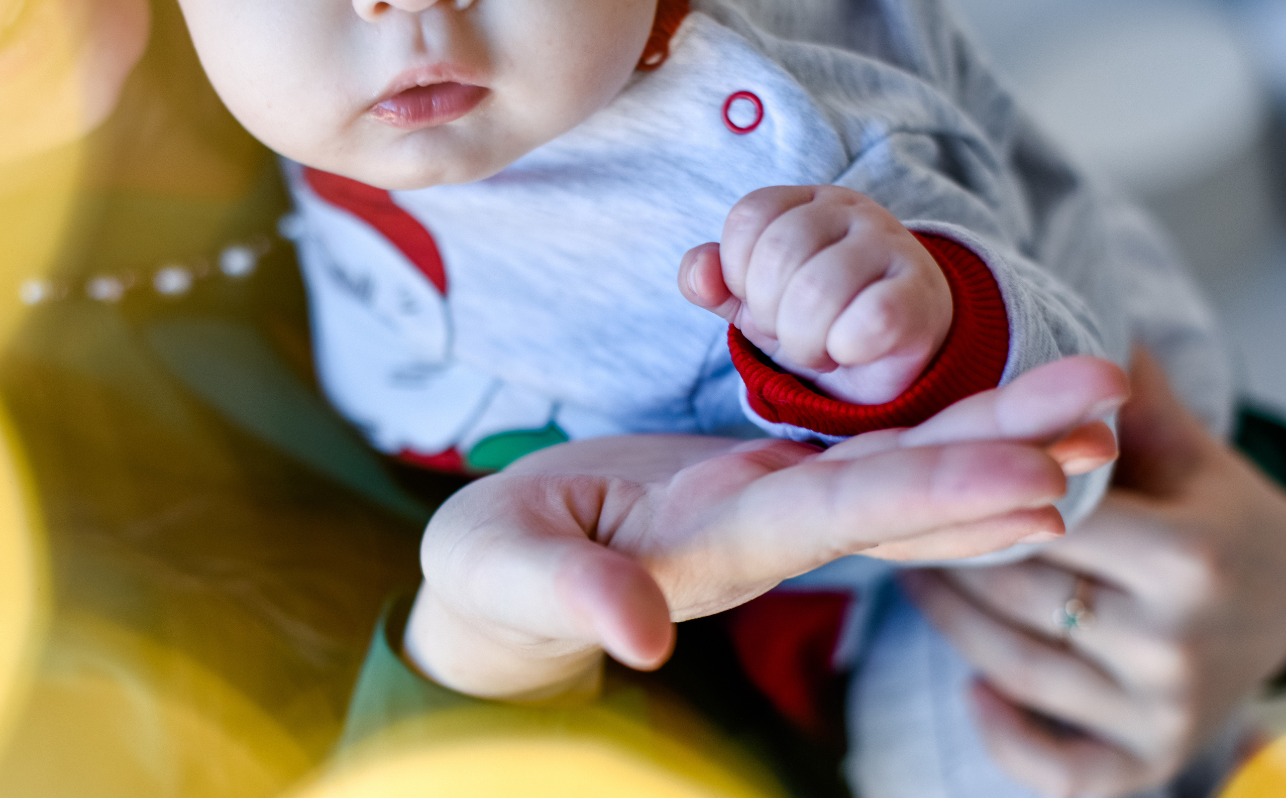 Новогодняя съемка Настя, Максим. Лев