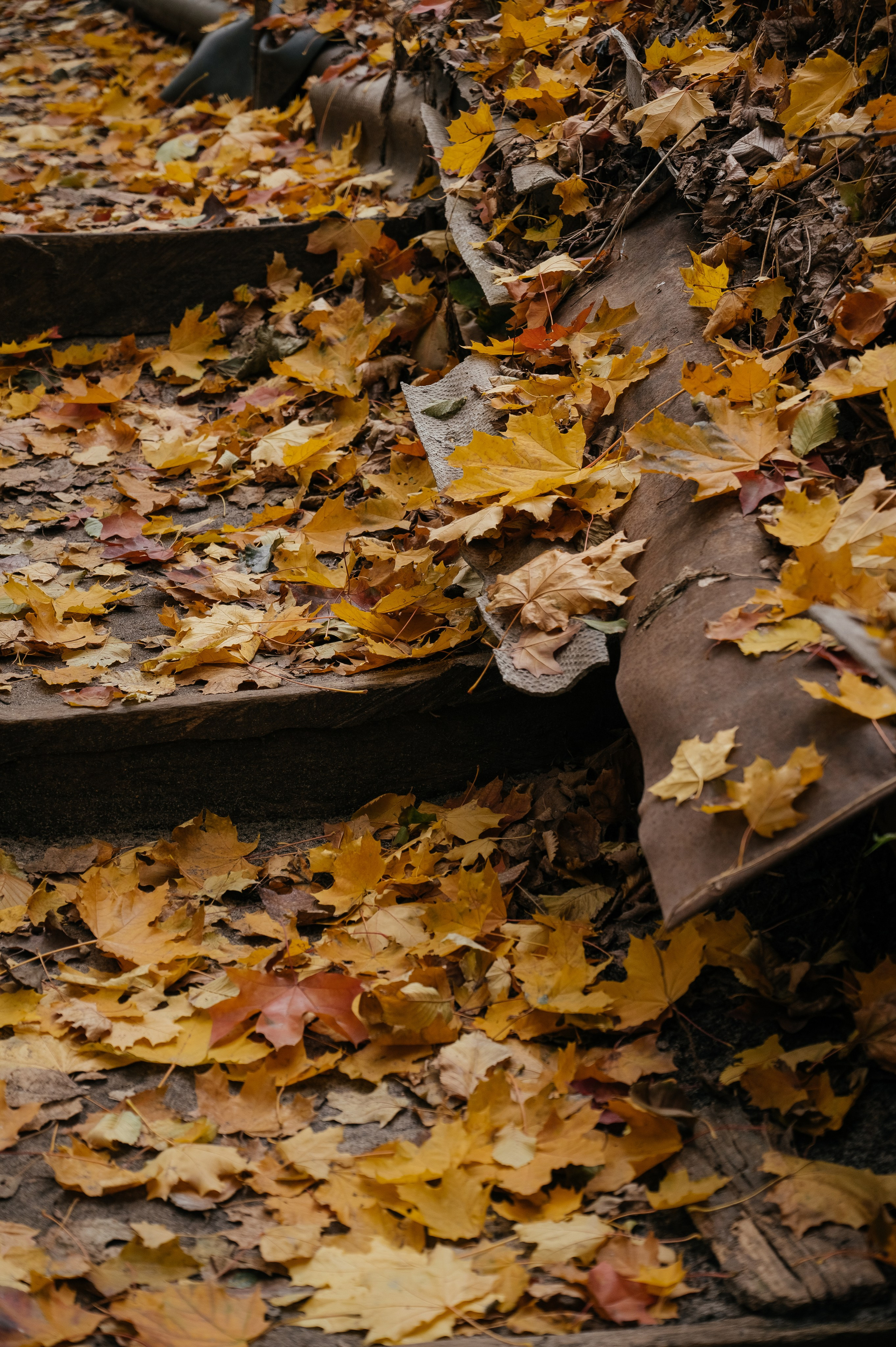 Ксюша и Антон. Фотограф Мария Строгонова