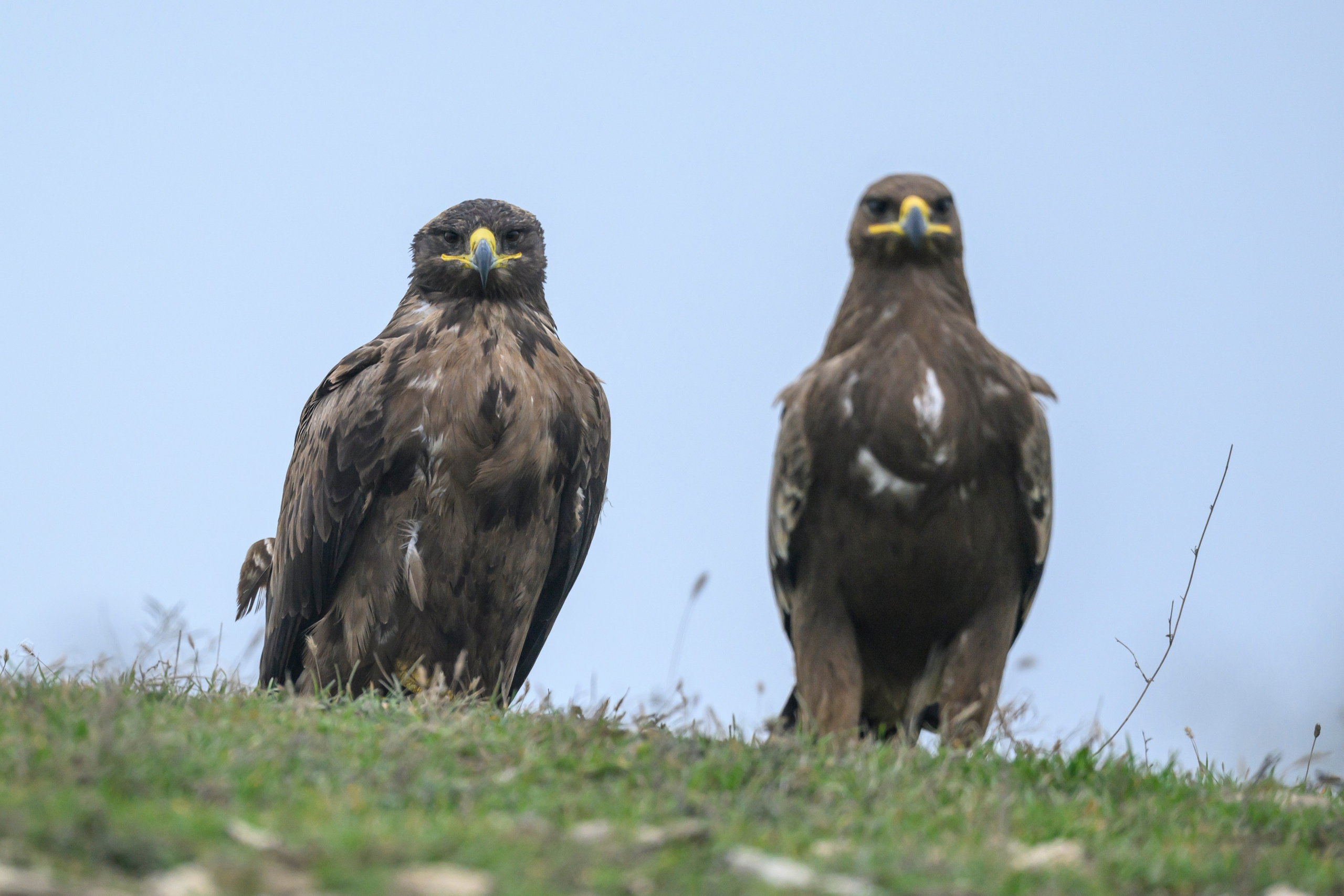 Дагестан. Ноябрь 2025. Фотограф Сергей Пупонин