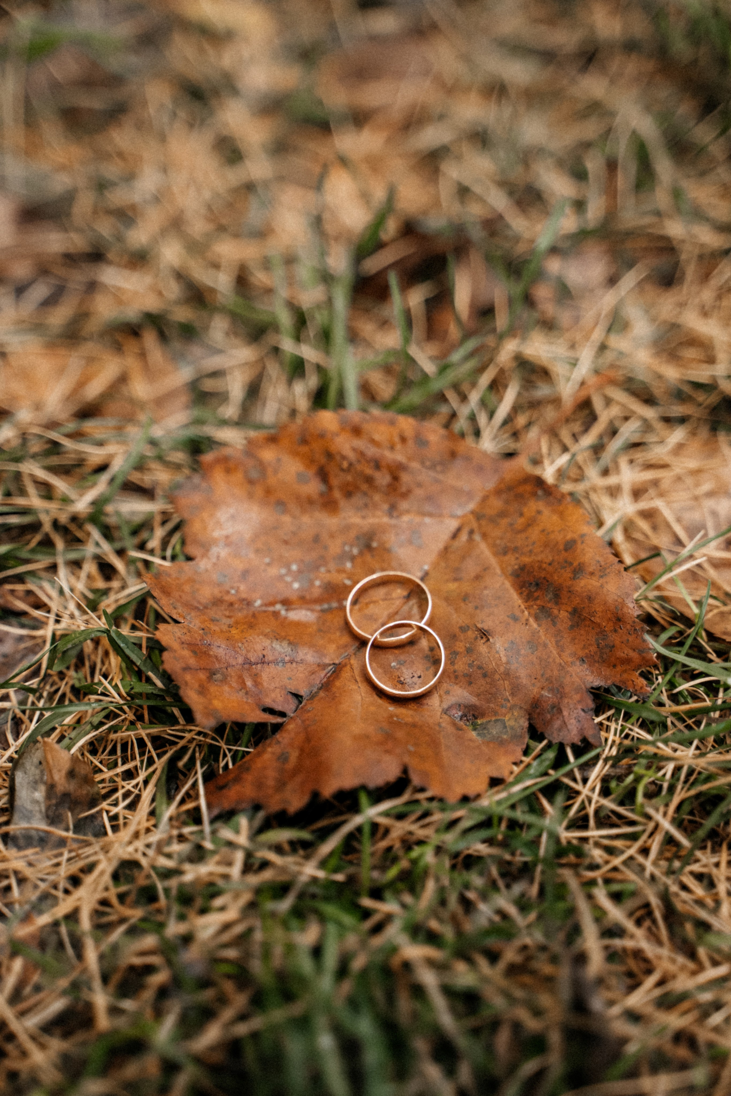 Свадебная история. Свадебный фотограф Амина Хомович