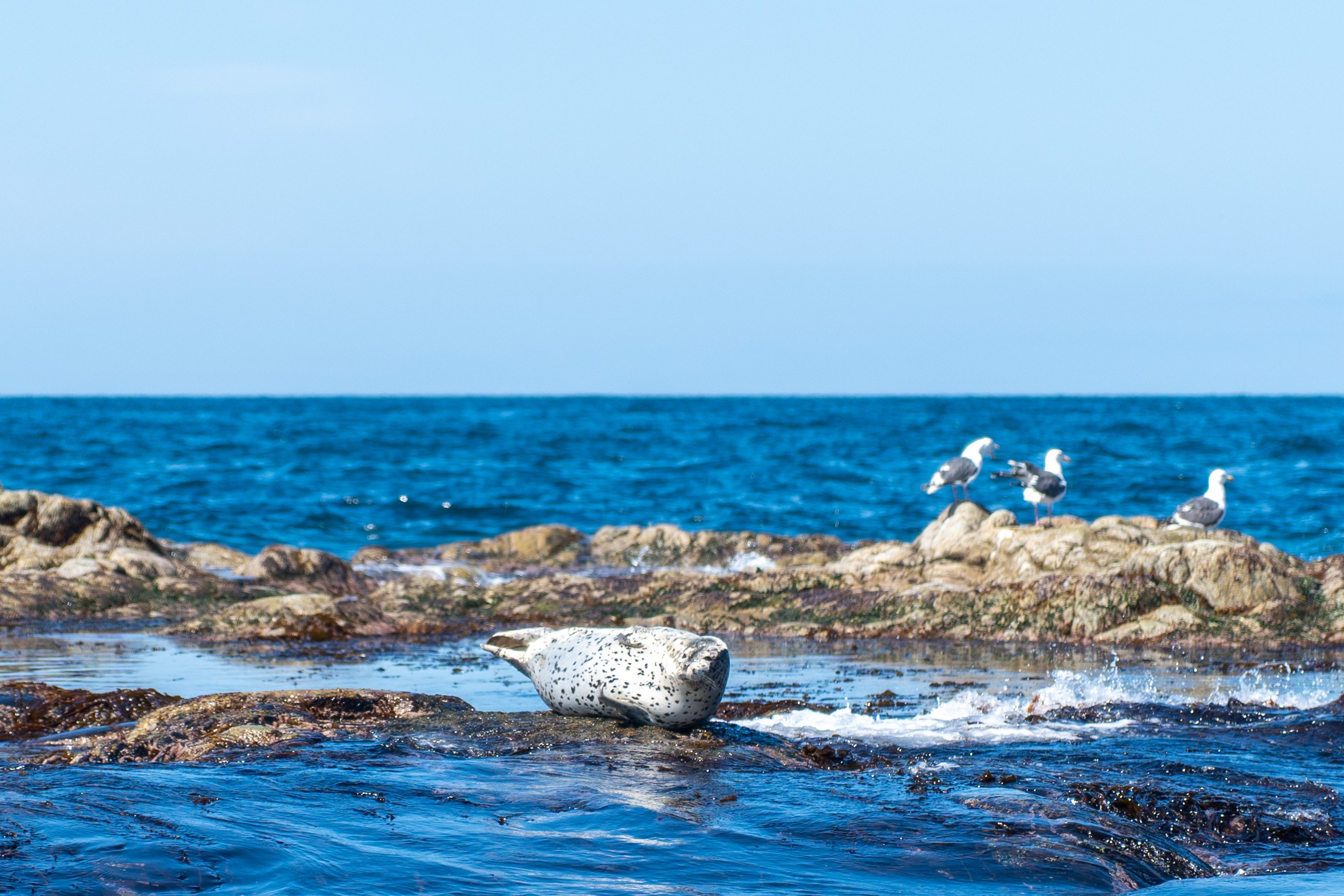 Сахалин 2025. Творческие сьемки