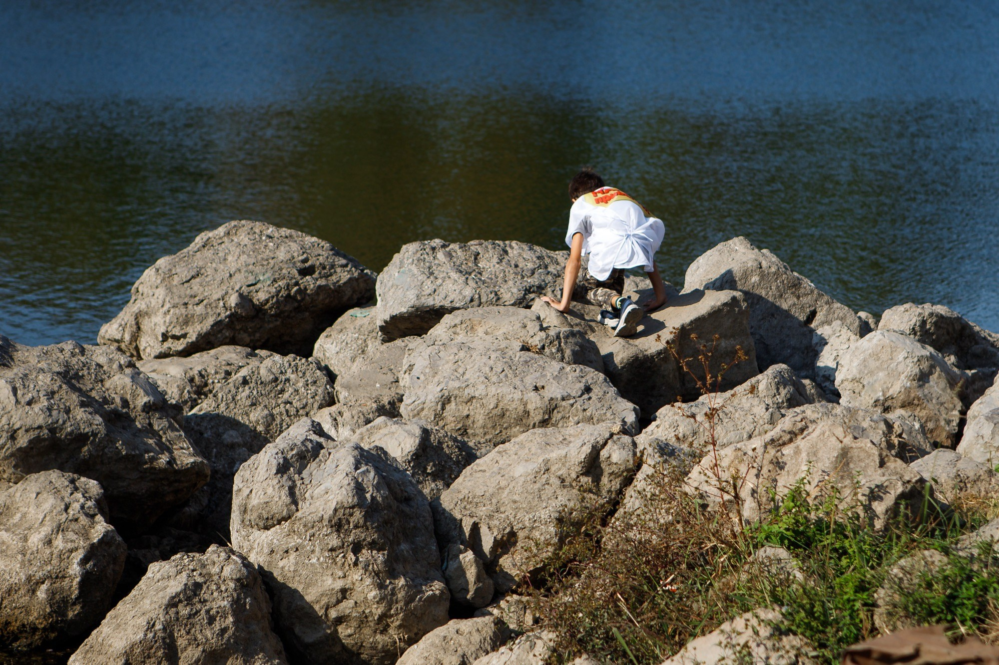 Субботник МАГНИТ. Репортажный и свадебный фотограф в Краснодаре