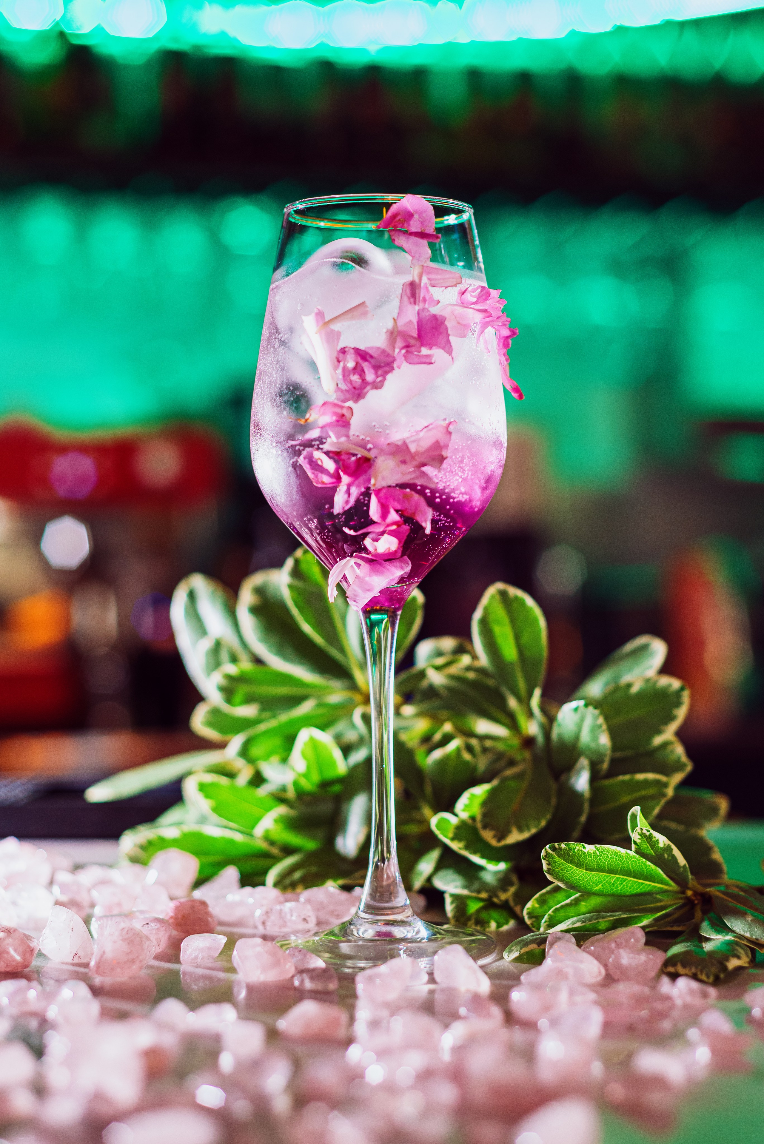 Bali Bar. Фотограф в Москве