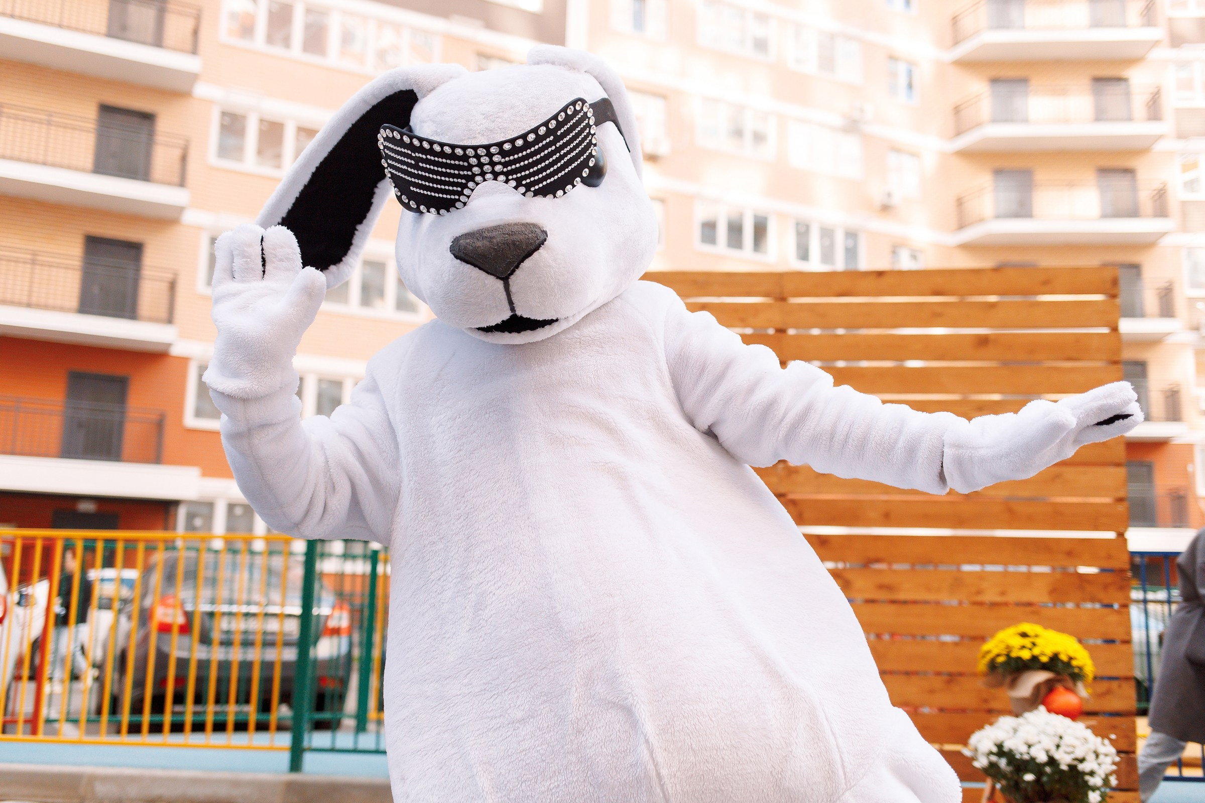 репортажный фотограф в краснодаре