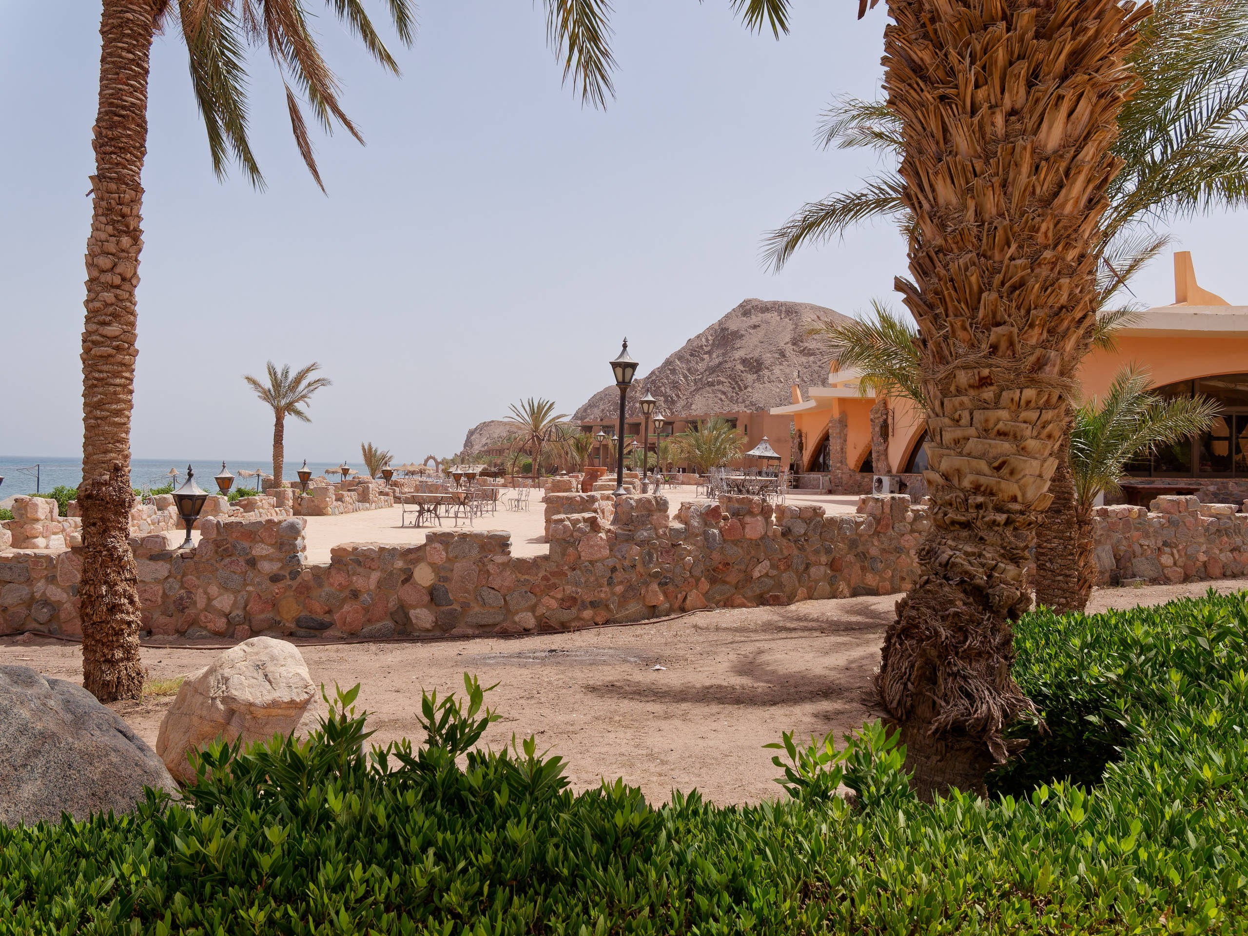 Шарм-эль-Шейх 2022, сафари. Избранные фотографии