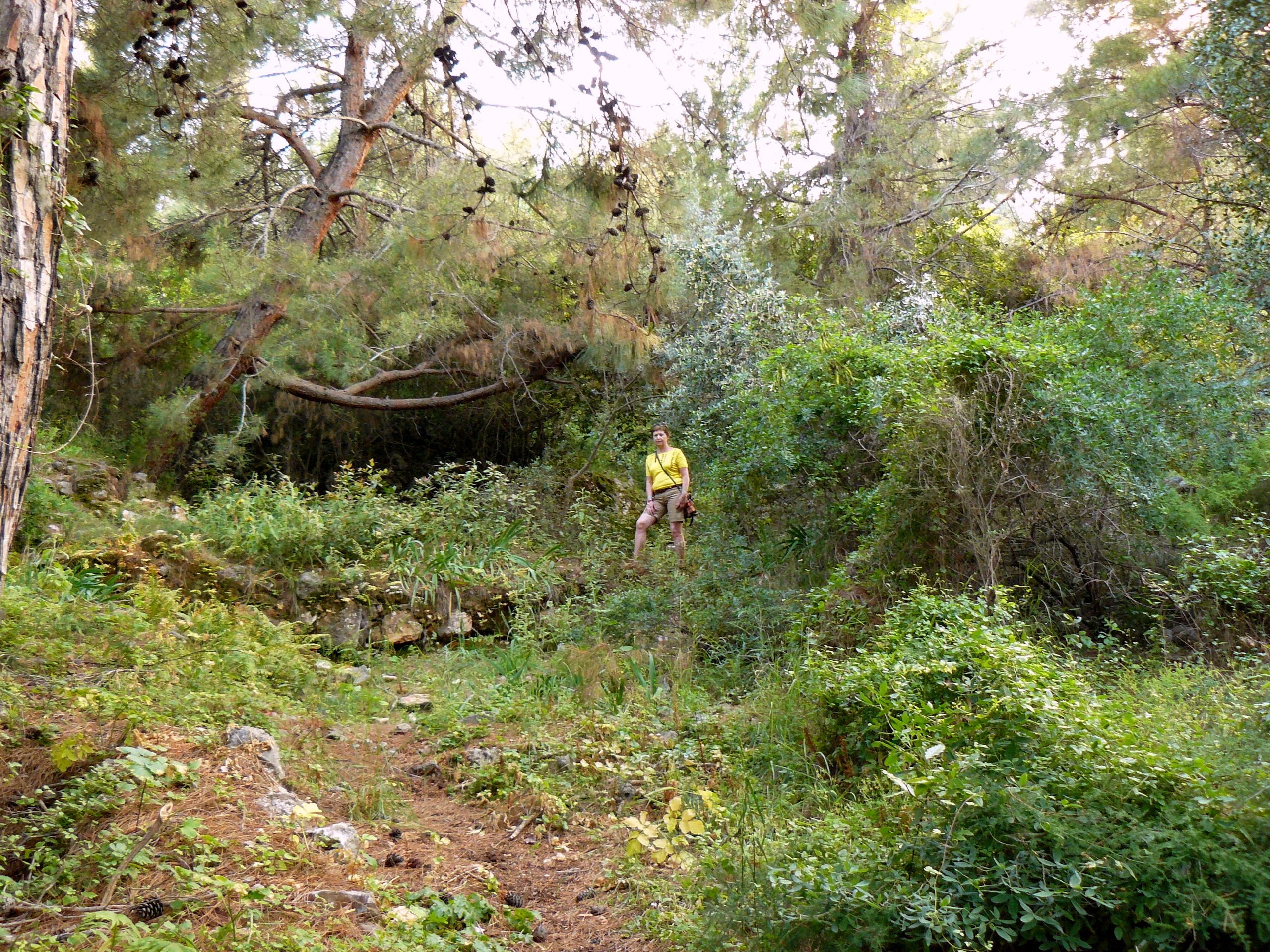 Алания 2014 старая крепость. Фотопрогулки по Миру