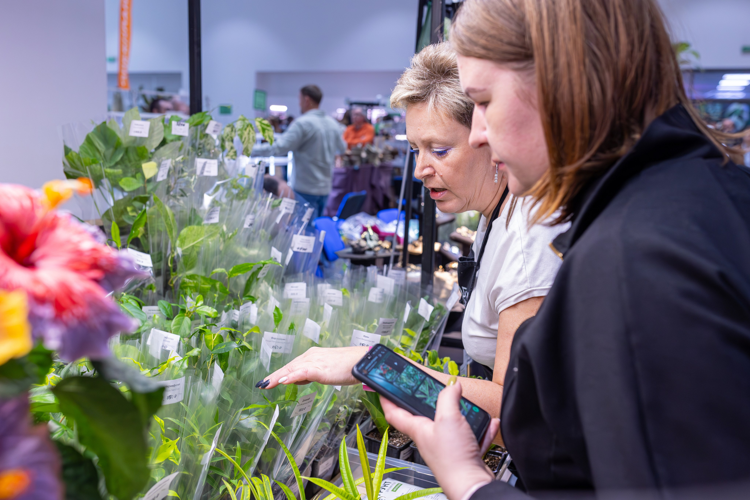 Монстериум 11–12 октября. Александра Куликова фотограф, Москва