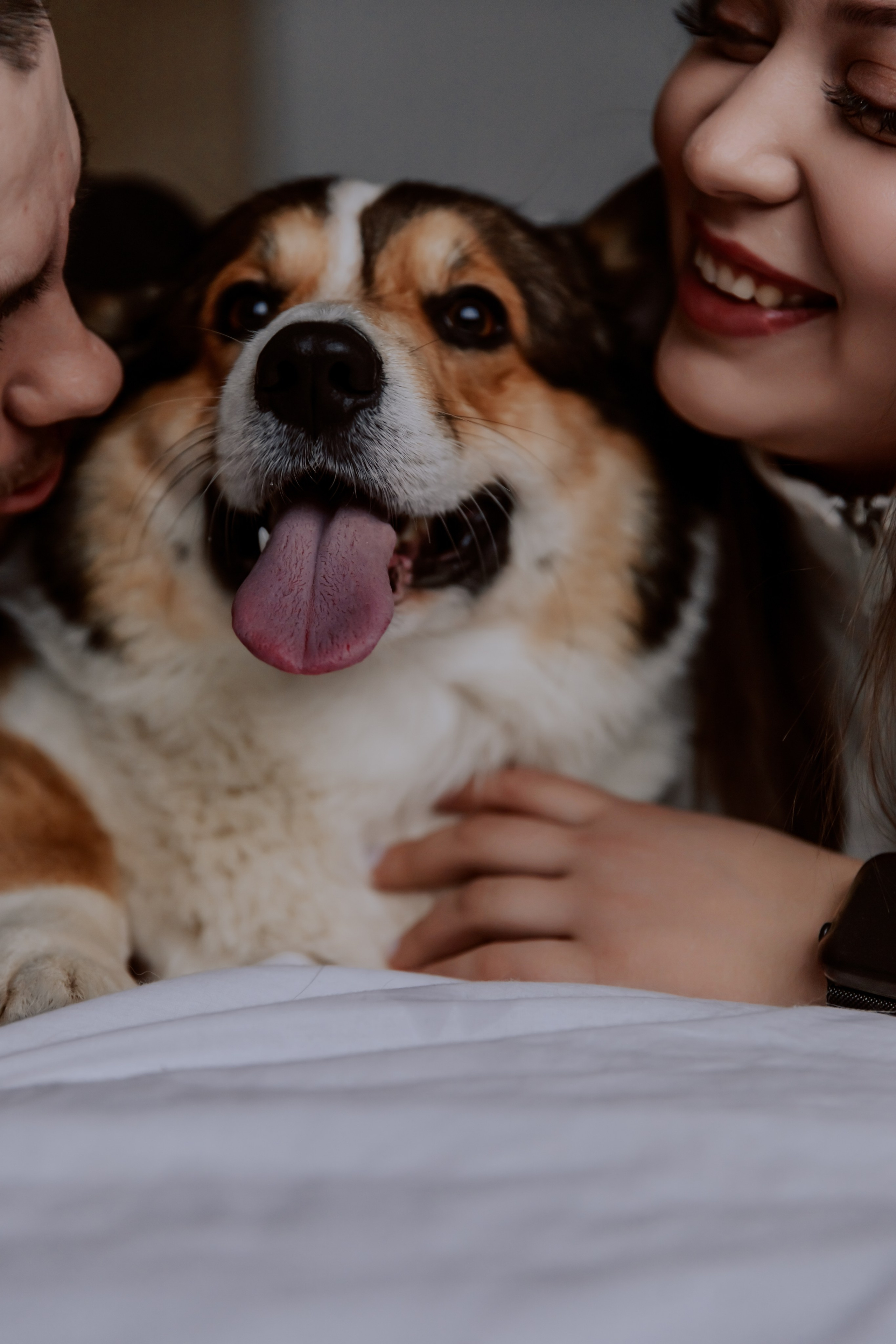 Саша, Илья и песик Кураж. Фотограф, который снимает любовь в Санкт-Петербурге и Череповце