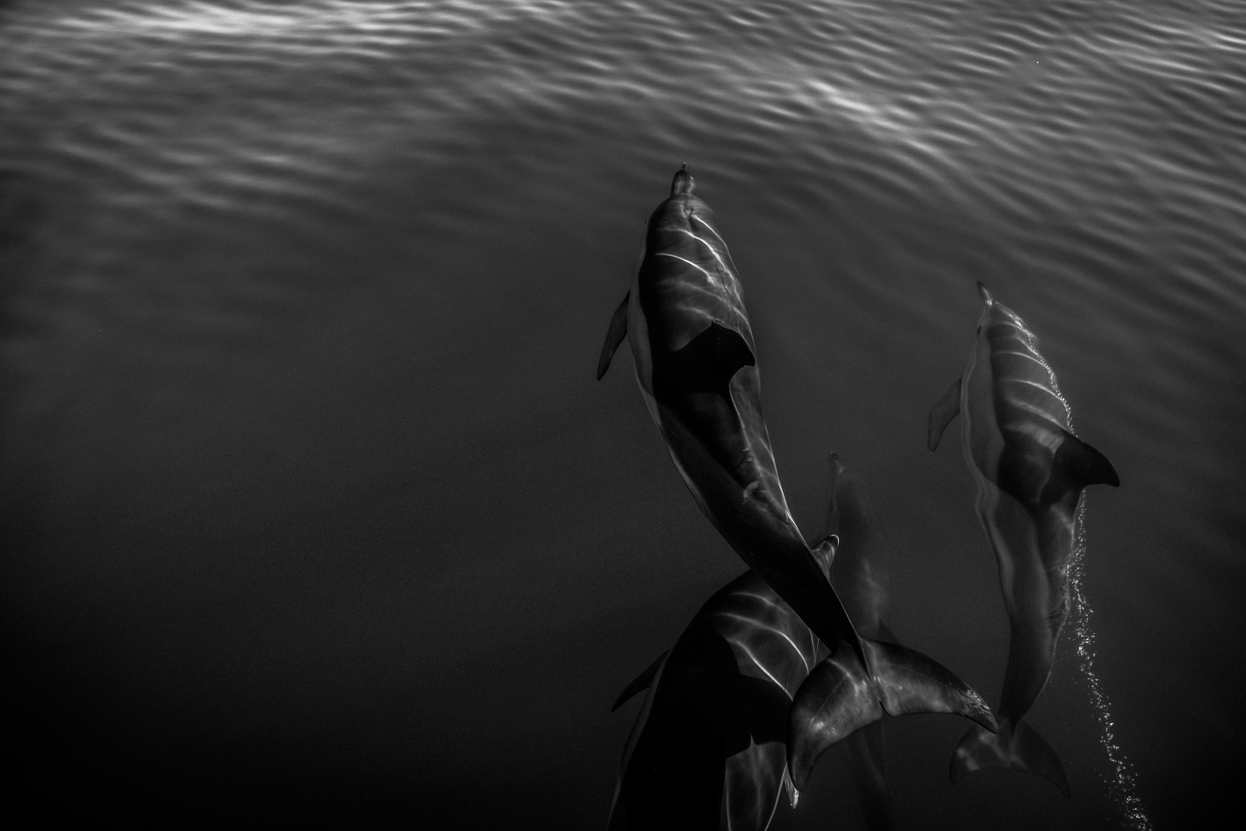 Wild and free. Anastasia Serdyuk, travel photographer, travel photo, portraits, stories, fineart prints