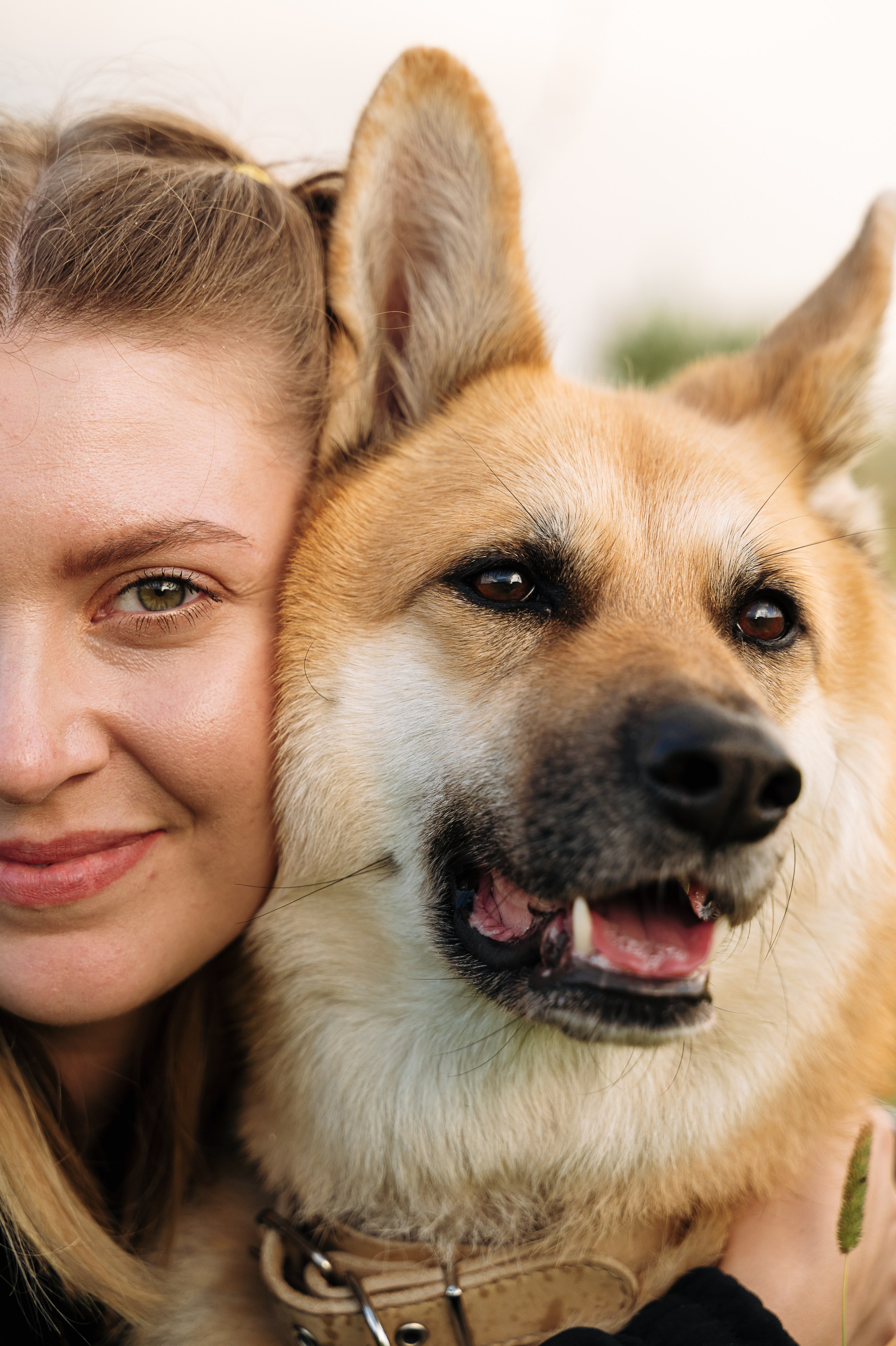 Фотосессия с собакой Екатеринбург. Портретный и семейный фотограф в Екатеринбурге Мария Чахеева