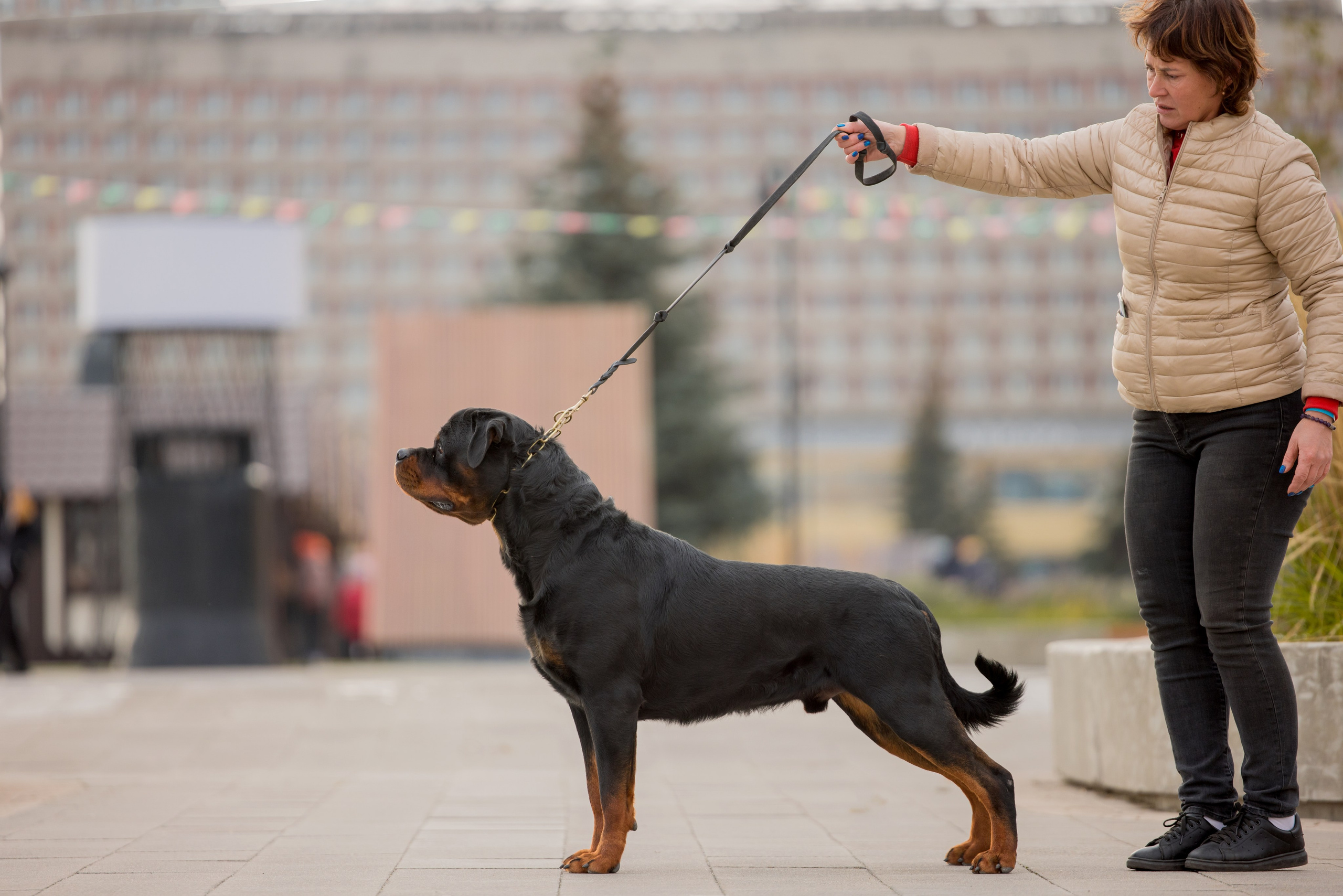 Нижний Новгород 21-22.10.2023. Фотограф-анималист Юлия Германика