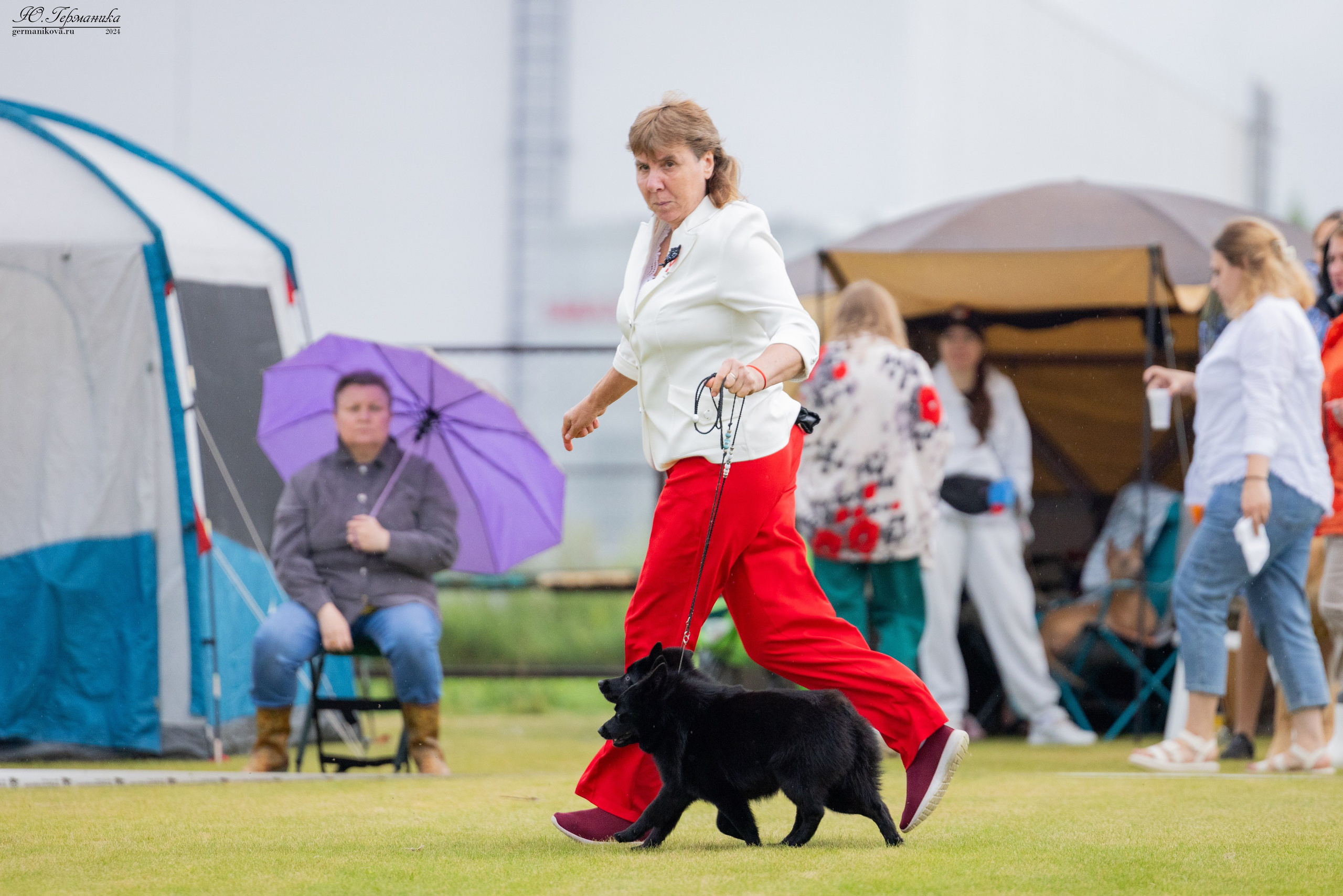 Ярославль 21.07.24 и Балашиха 13.07.24. Фотограф-анималист Юлия Германика