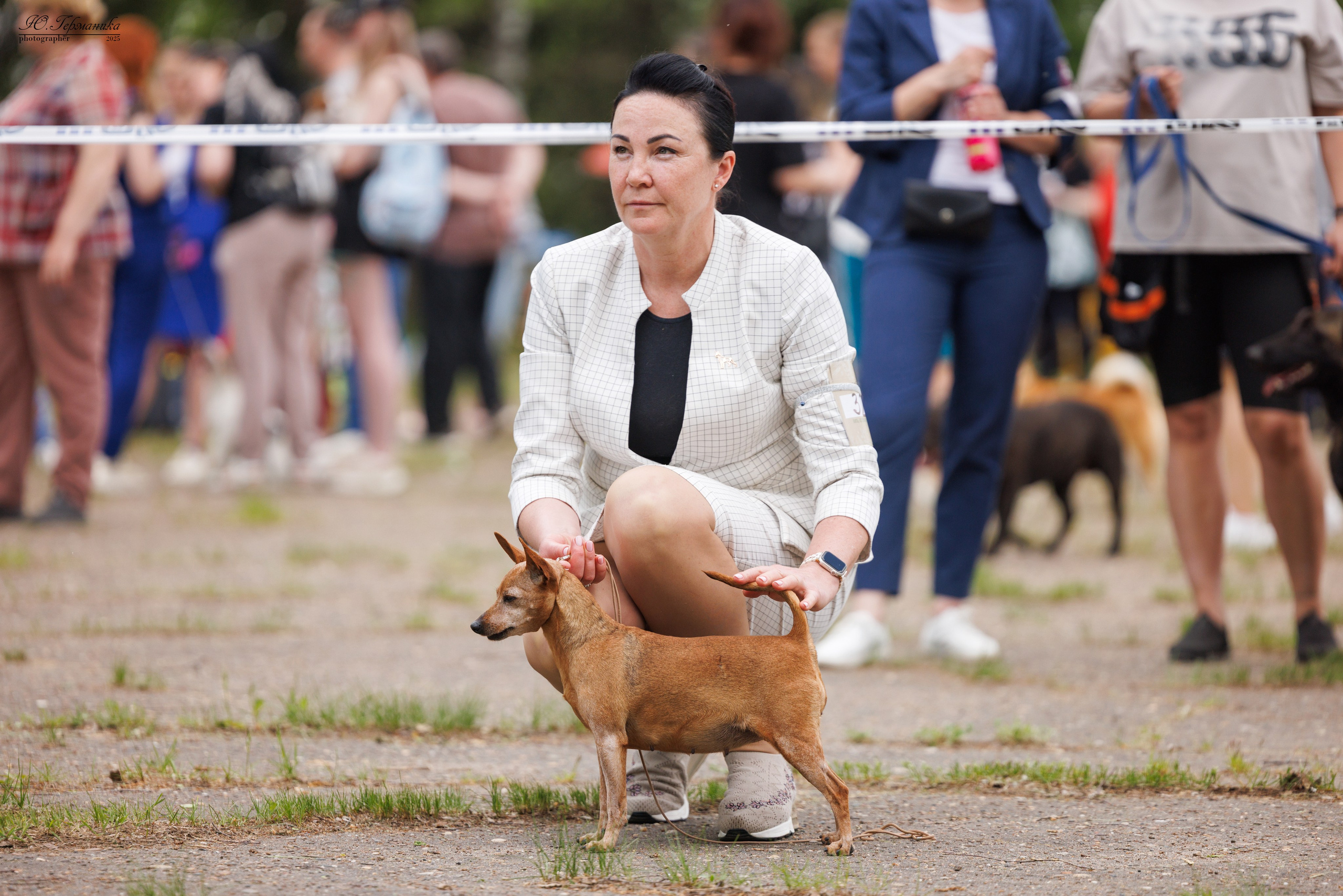 Тверь 24.05.2025. Фотограф-анималист Юлия Германика