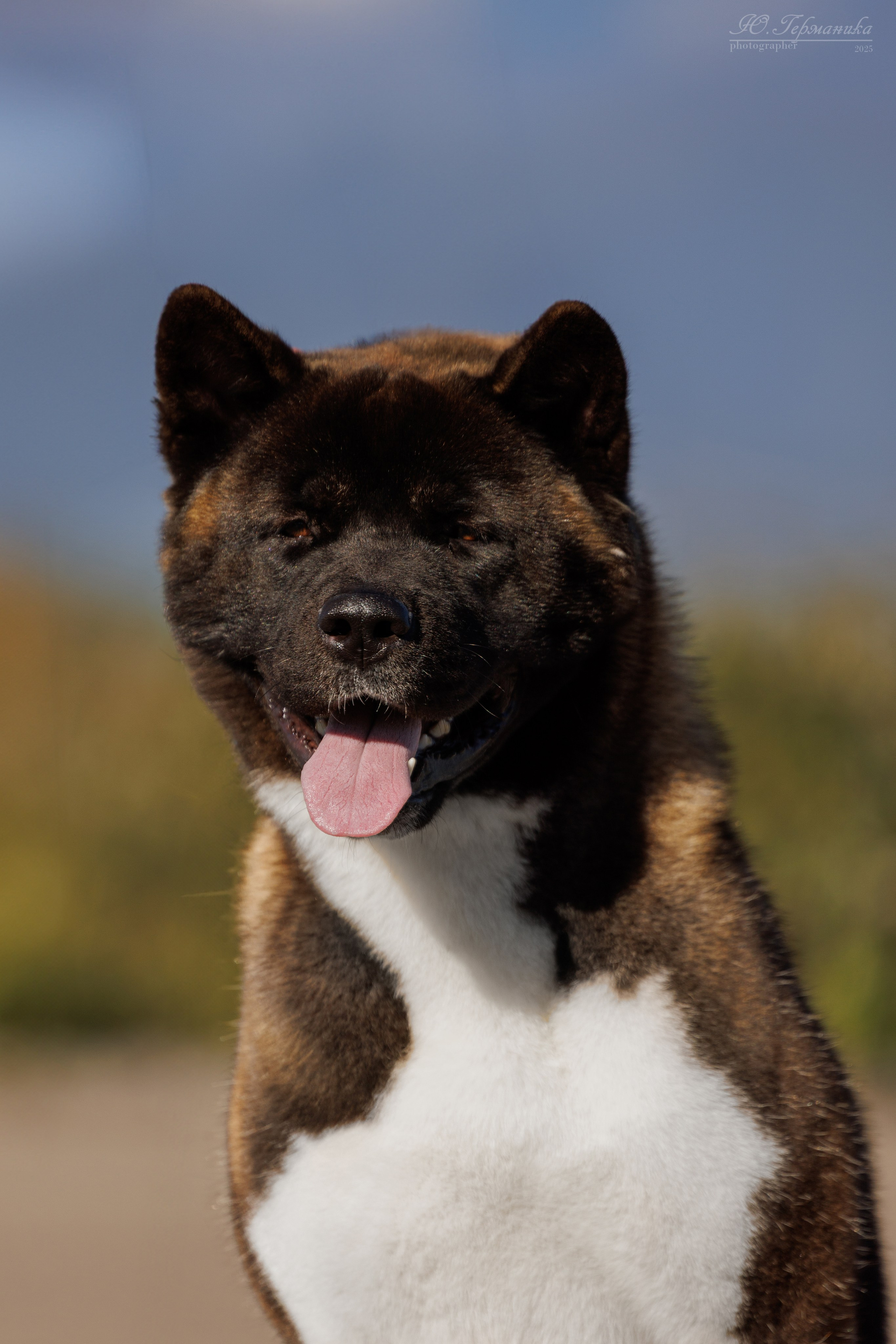 Телави 11-12.10.2025. Фотограф-анималист Юлия Германика