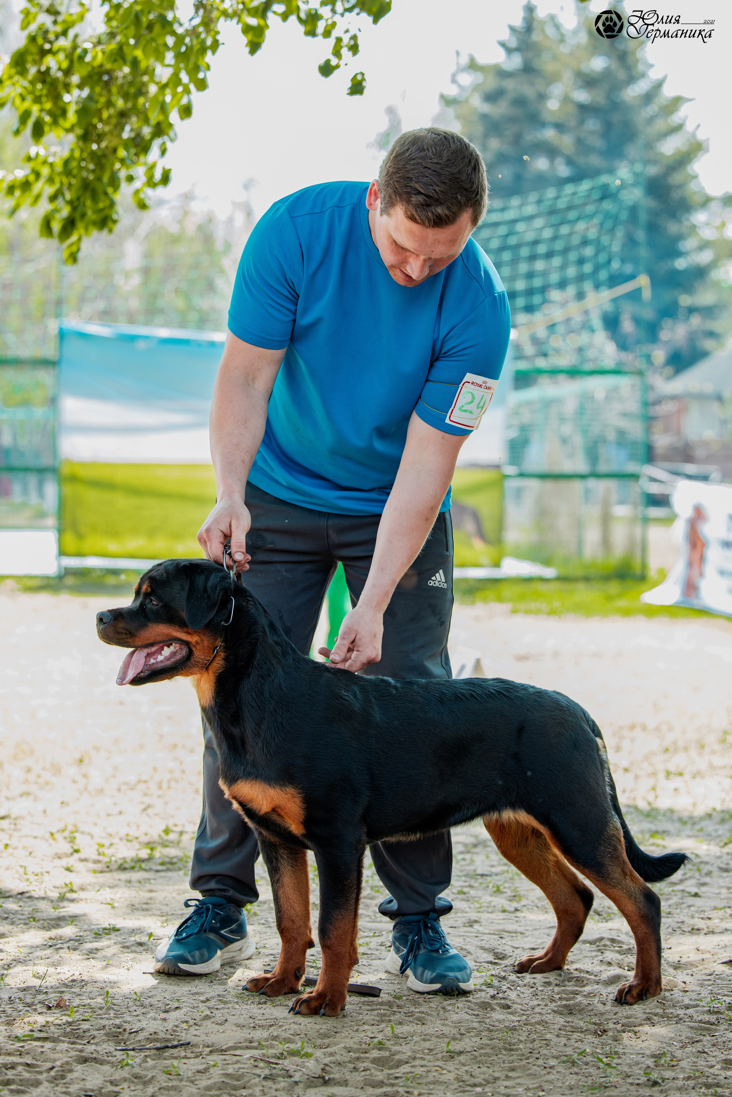 Саратов моно ротвейлеров 26-27.04.2025. Фотограф-анималист Юлия Германика