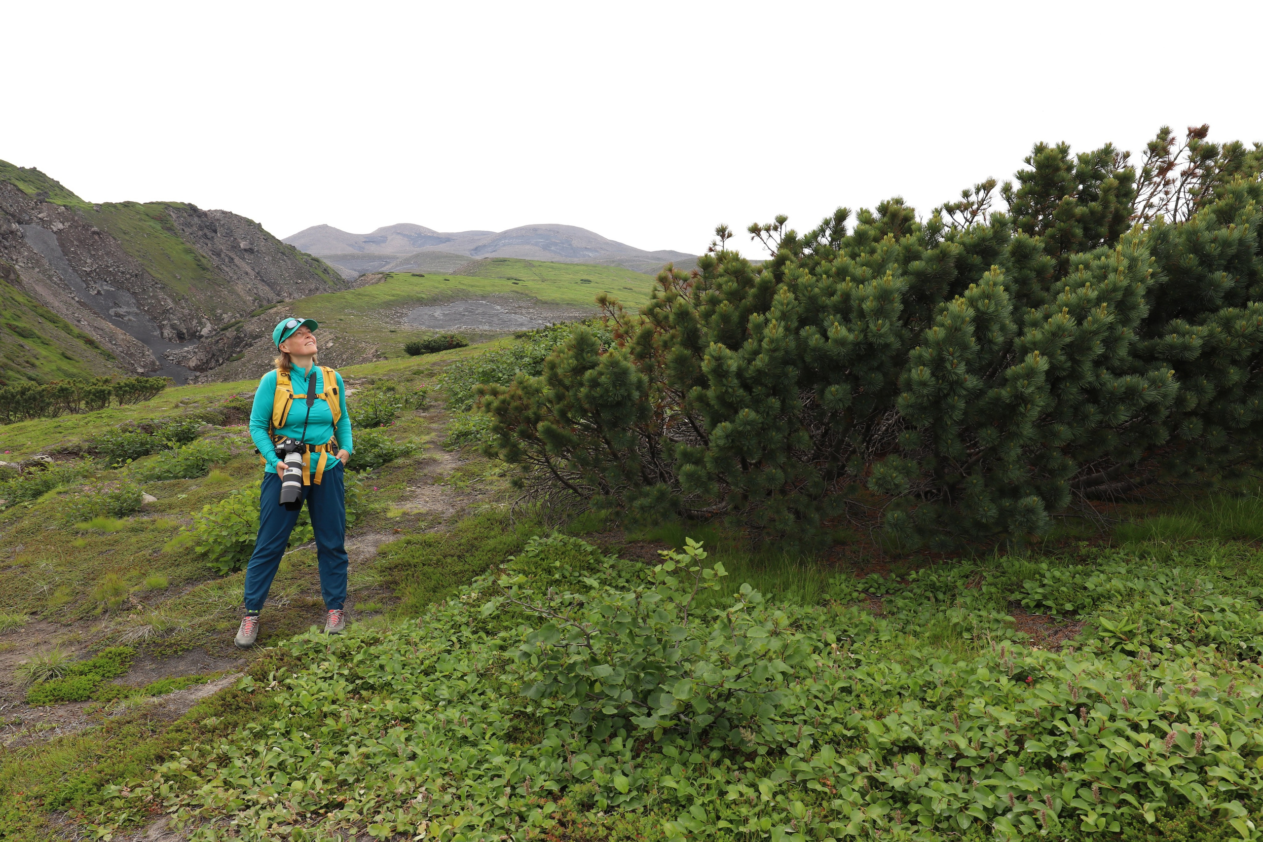 Камчатка и о. Парамушир. Июль 2024. Путешественник-фотограф из Санкт-Петербурга Татьяна Свистулина