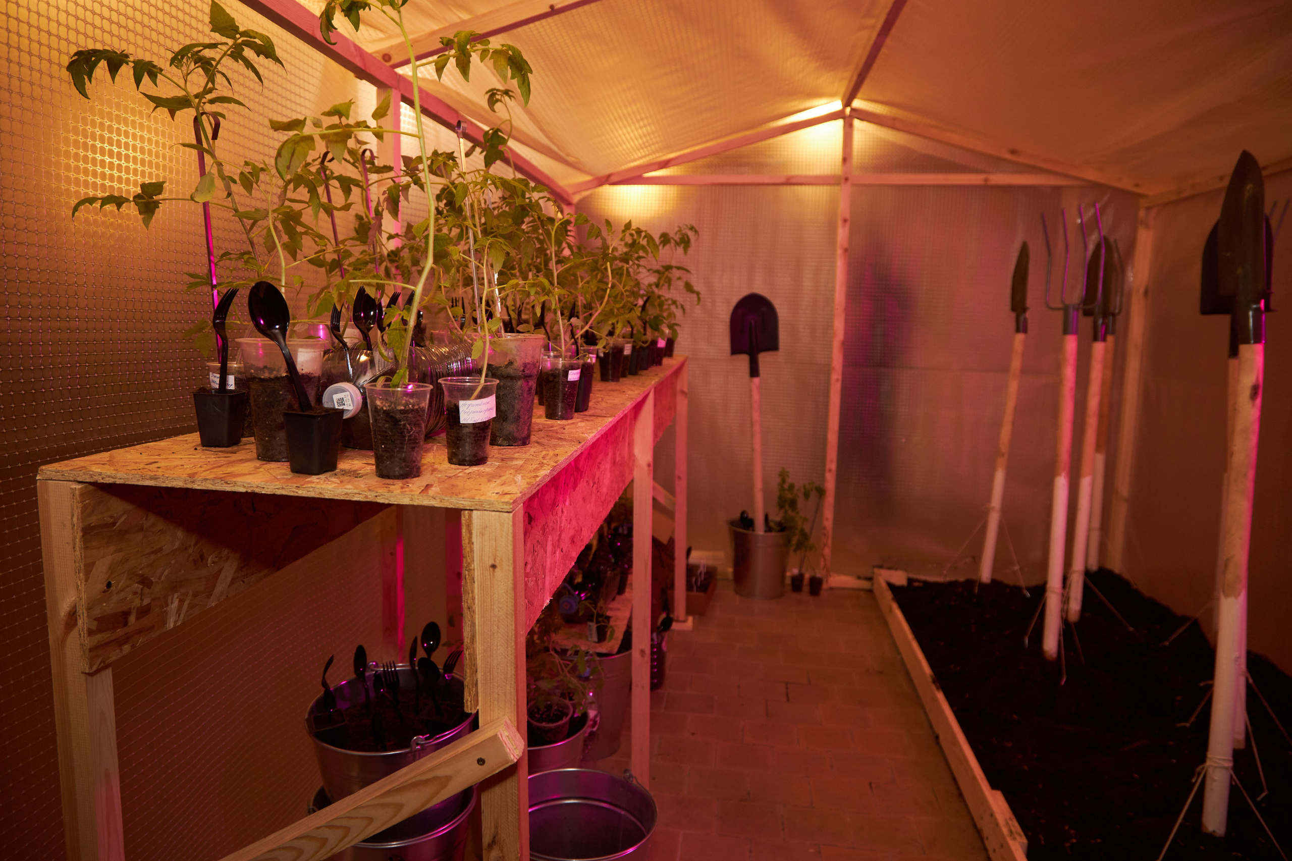 Выставка Cubo Libre. Фотограф Савченко Люба. Москва