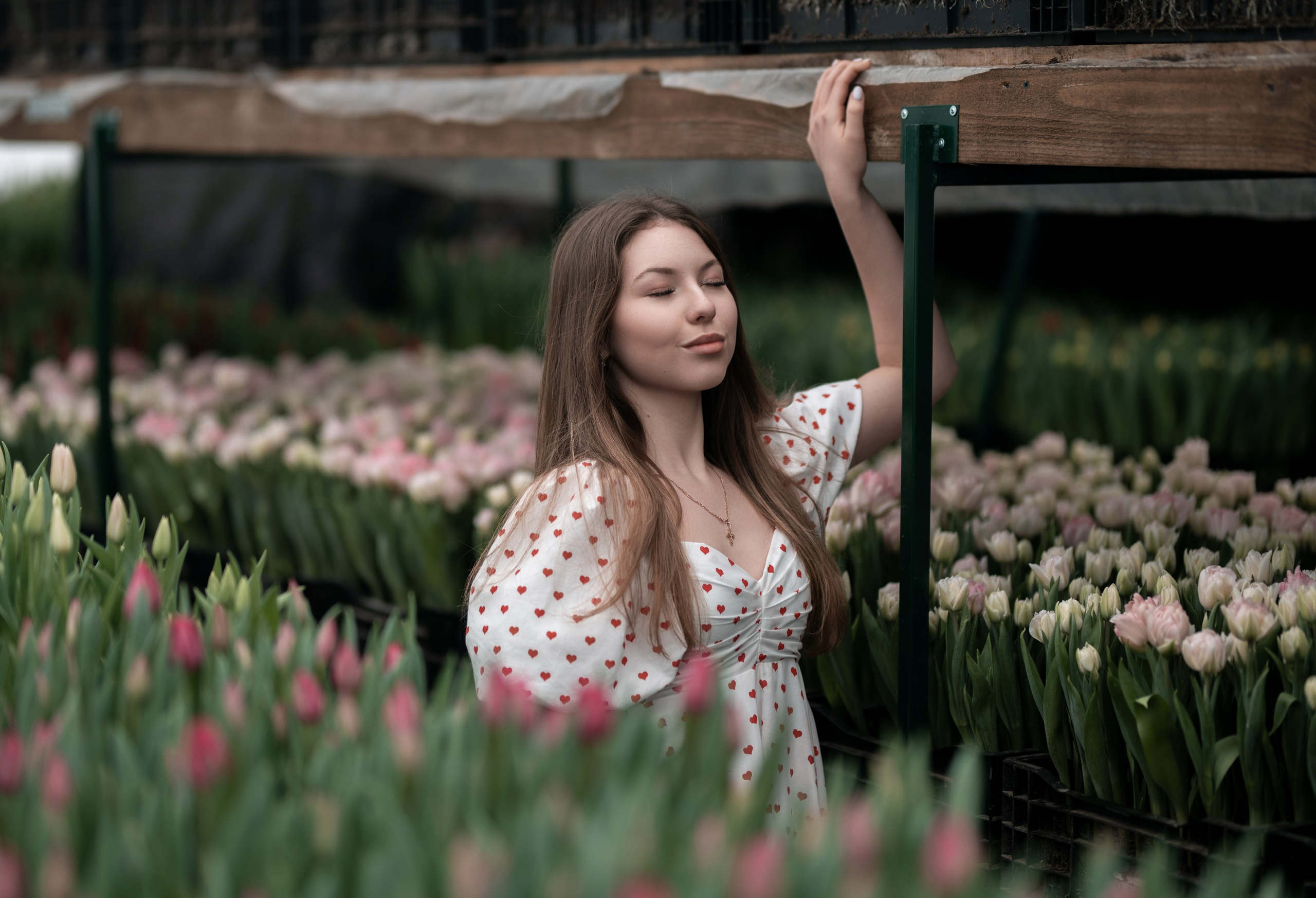 Фотопроект с тюльпанами. Фотограф Белебей Абзалетдинов Артур