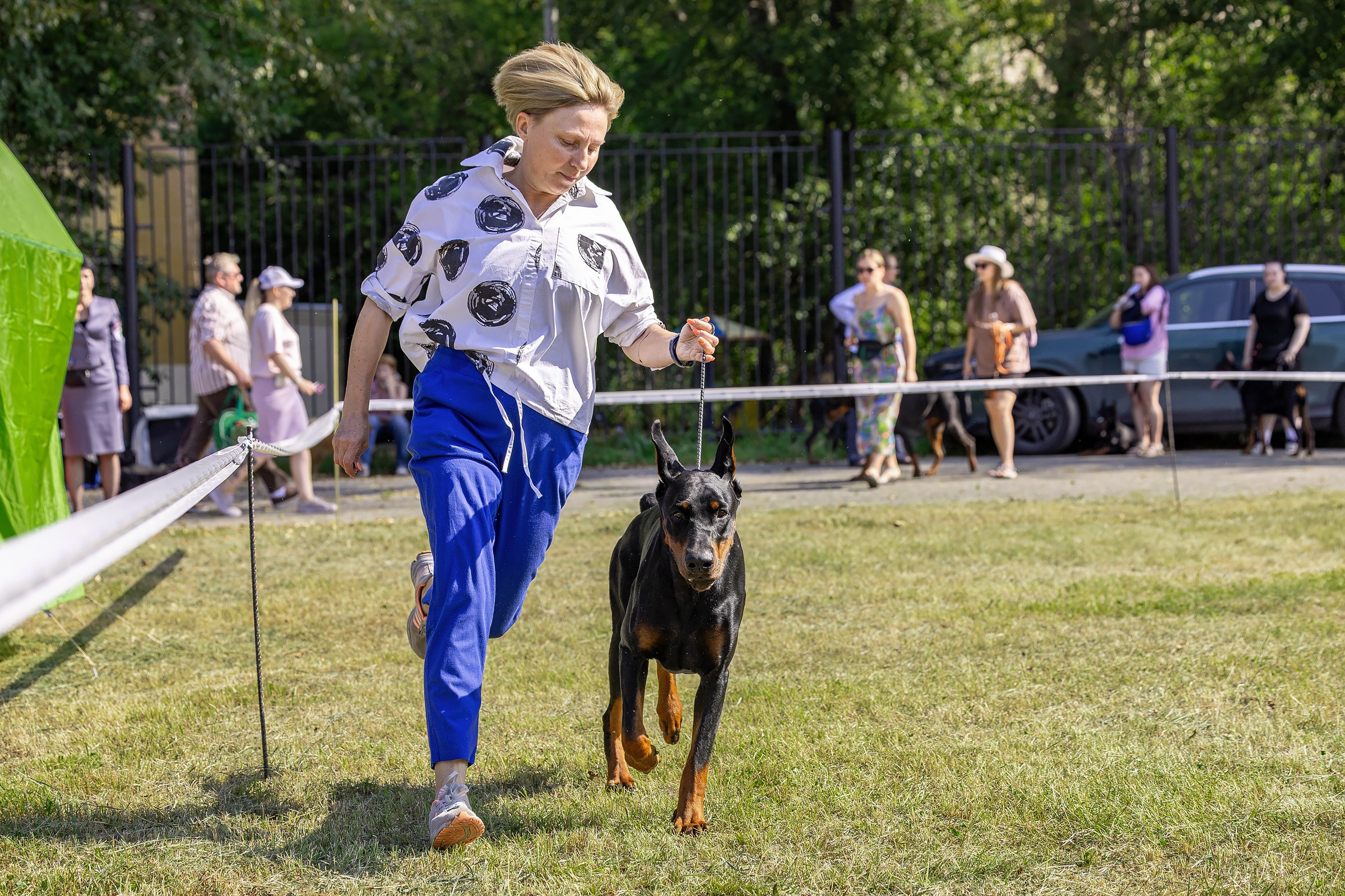 2–3 августа 2025, Выставка РКФ, г. Пермь. Htykk_photo