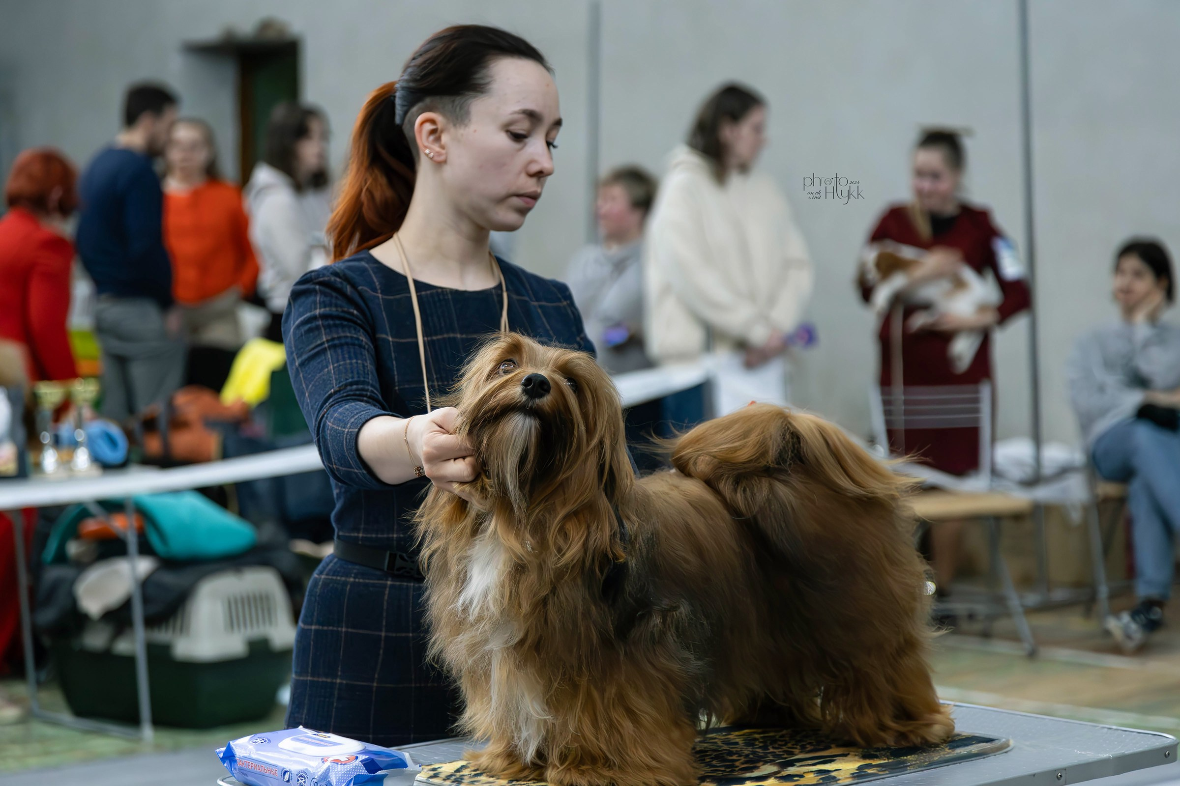 7 апреля 2024, Выставка РКФ, г. Пермь. Htykk_photo