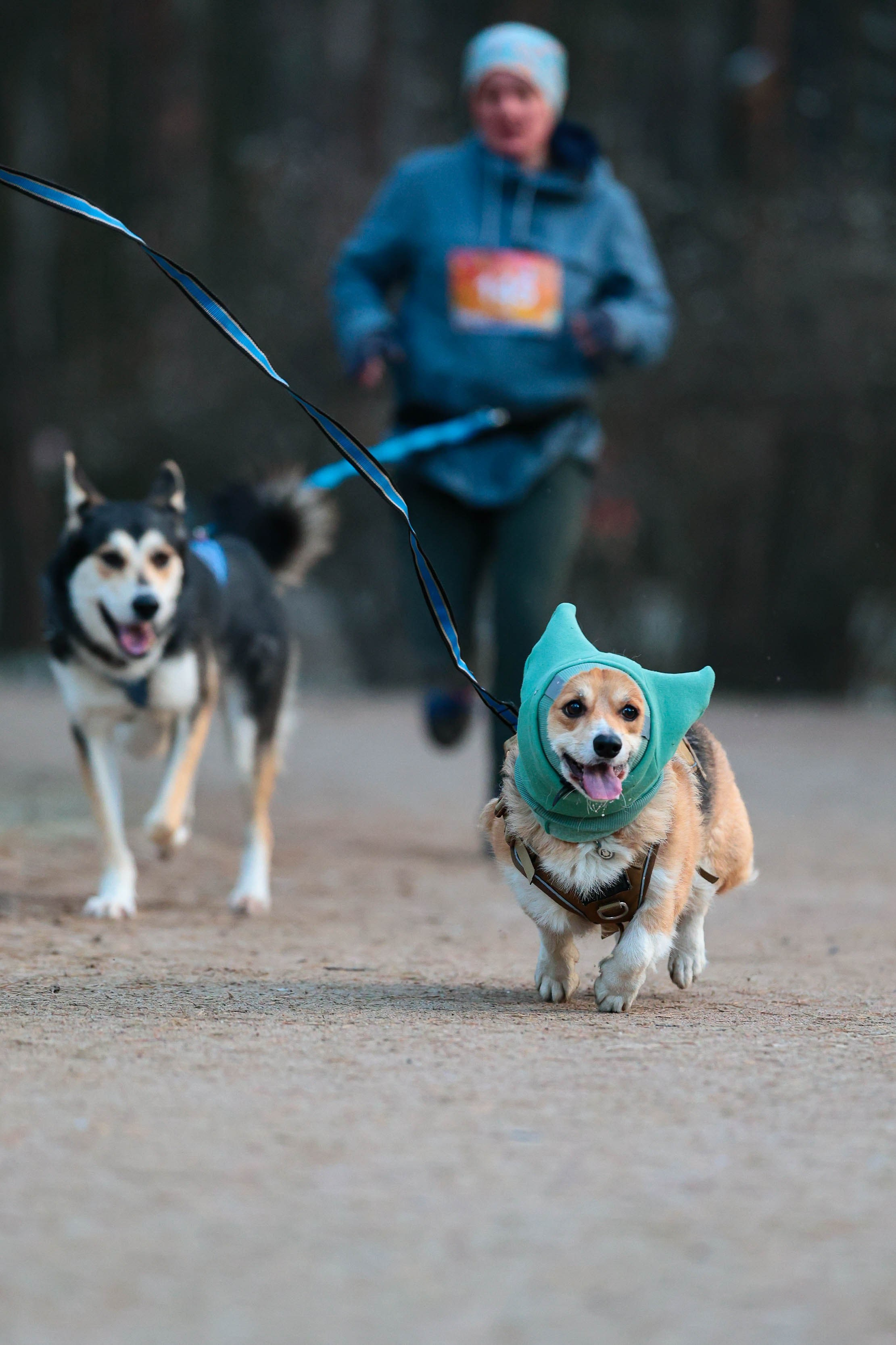 Новогодний марафон «Sosnovka Horse» 2025. Спортивный фотограф в Санкт-Петербурге Илья Vacool