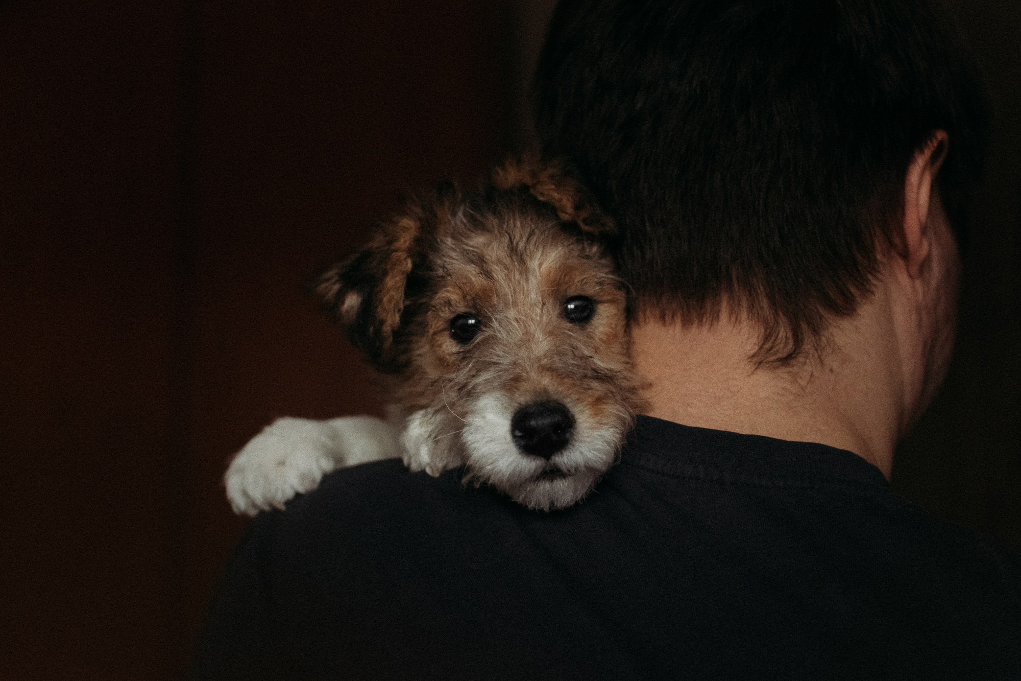 Ребята и фоксы. Фотограф Наталья Потапова