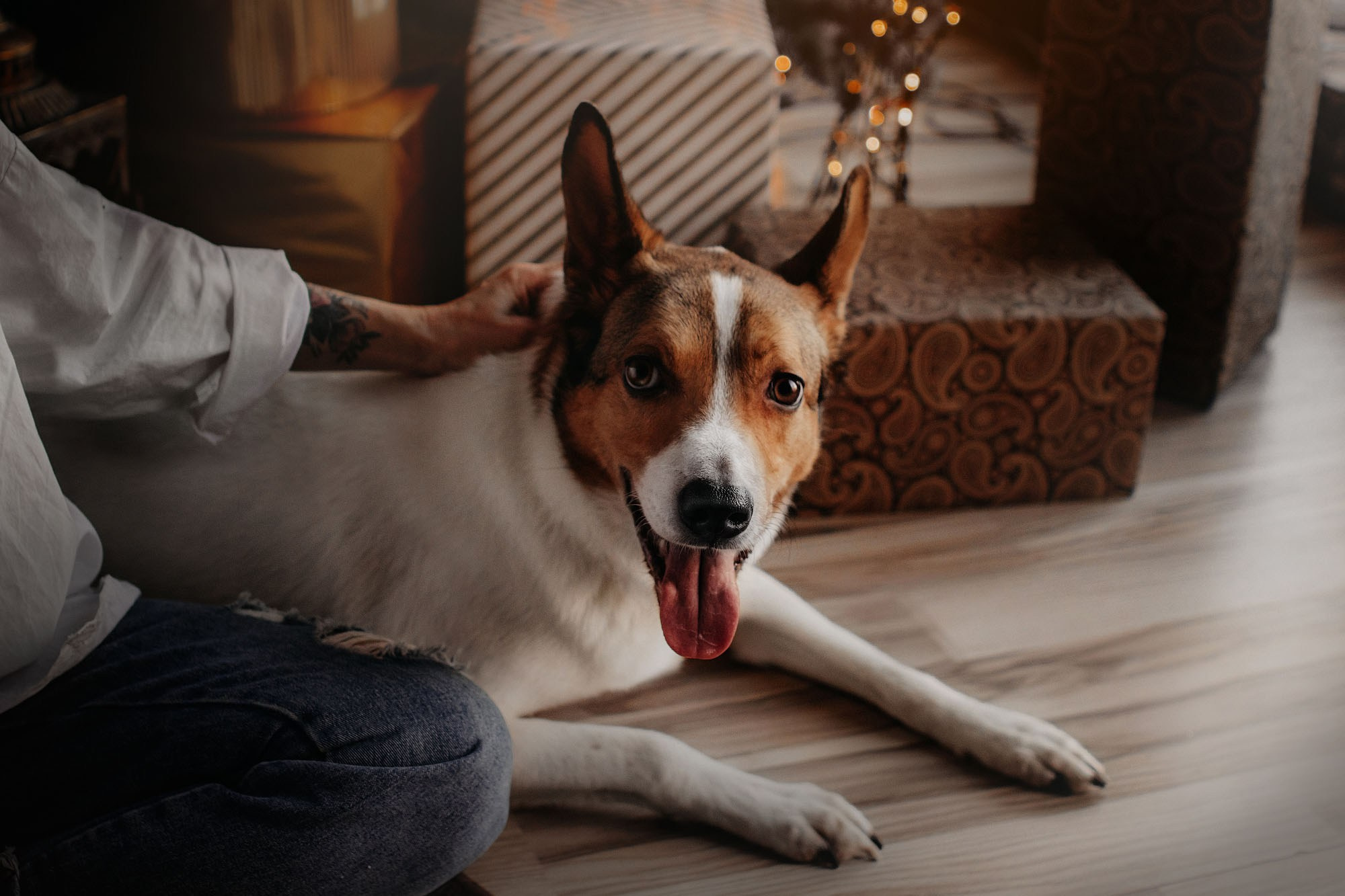 Наталья и Эпик. Фотограф Наталья Потапова