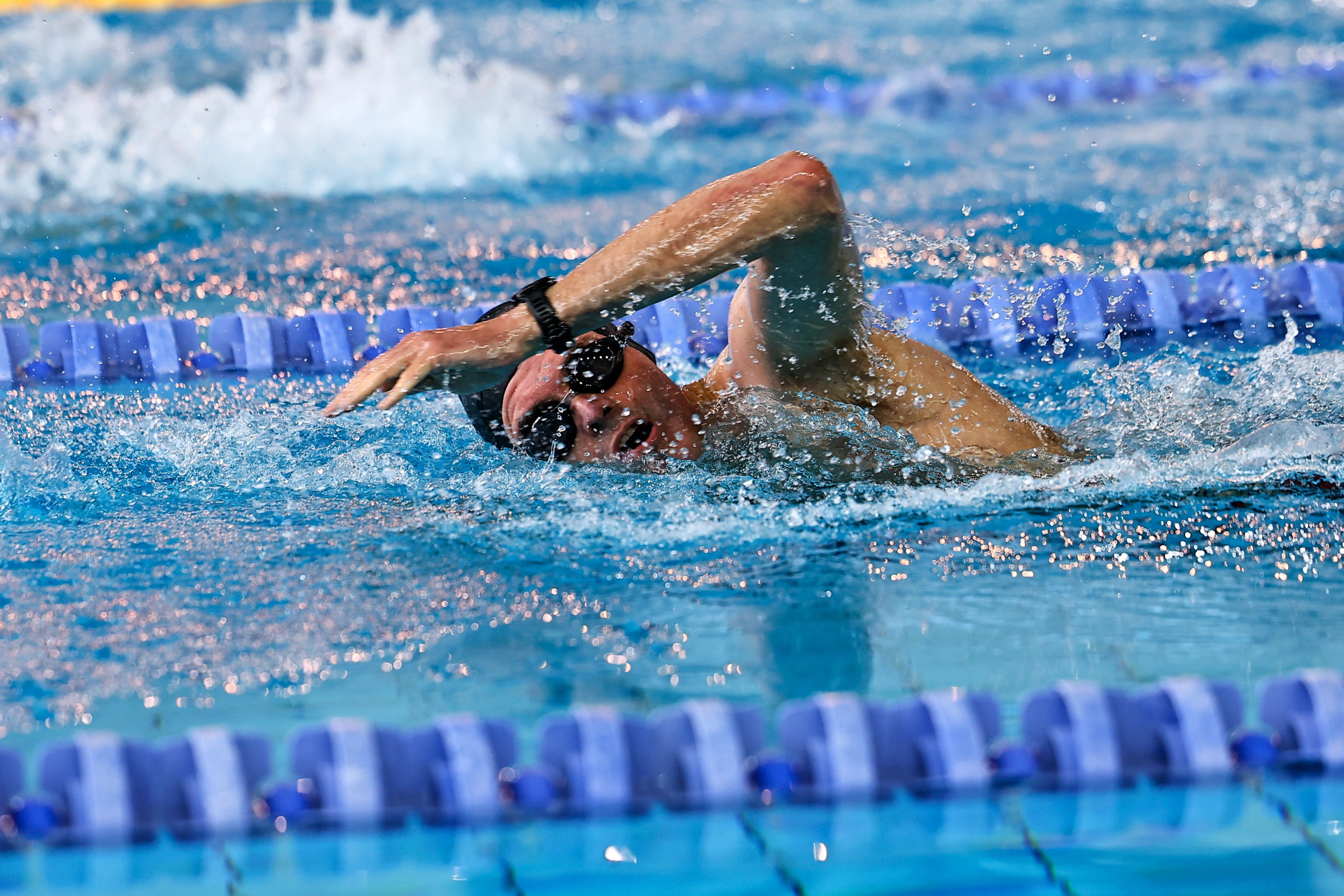 ДЗМ Плавание 2026. Фототерапевт Ева Бунеева
