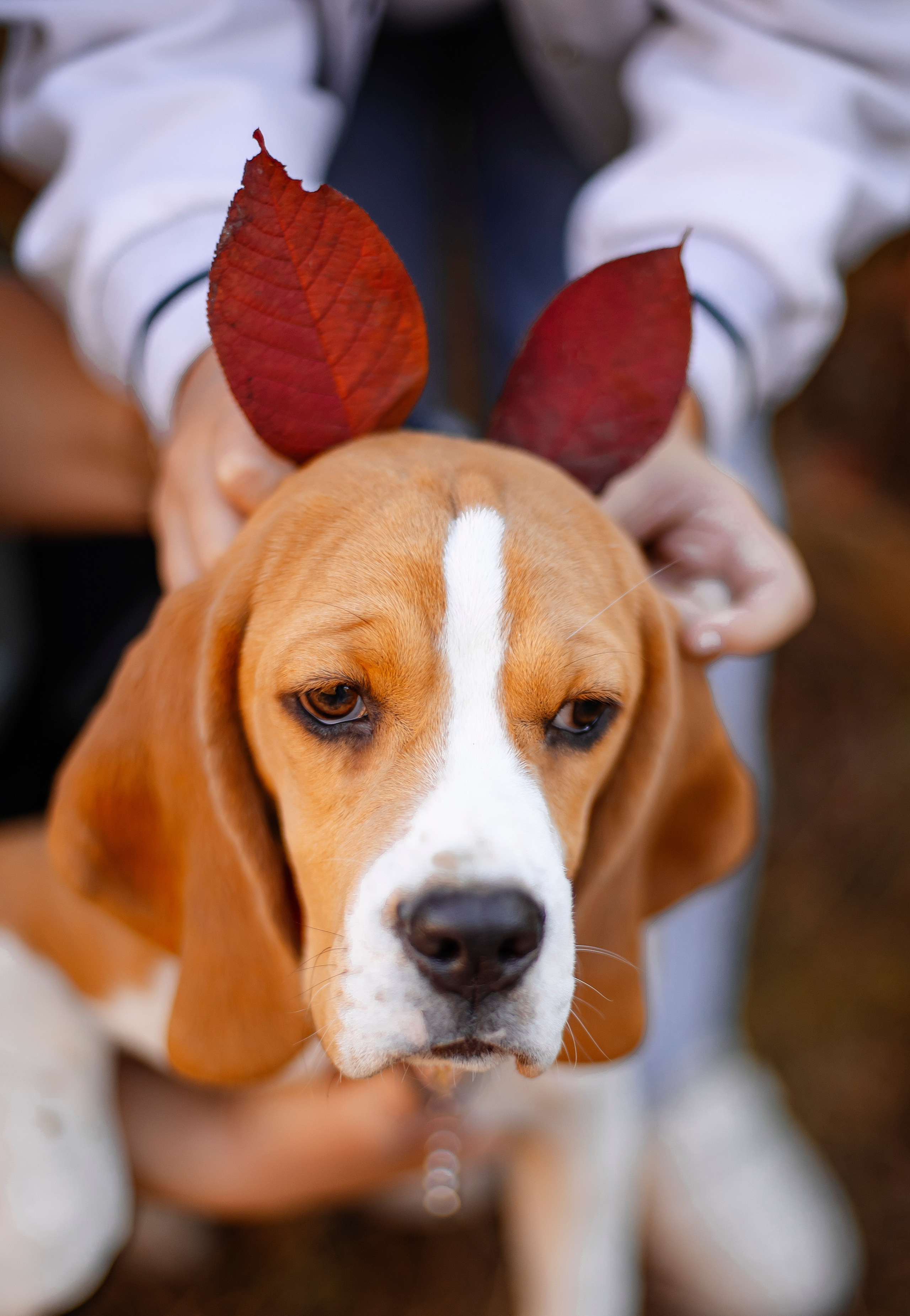 Софья & Боня. Фотограф Григорьева Ольга. Портретная, семейная съёмка, Love Stori, видеосъёмка в городе Чита. Выпускные альбомы, фотокниги