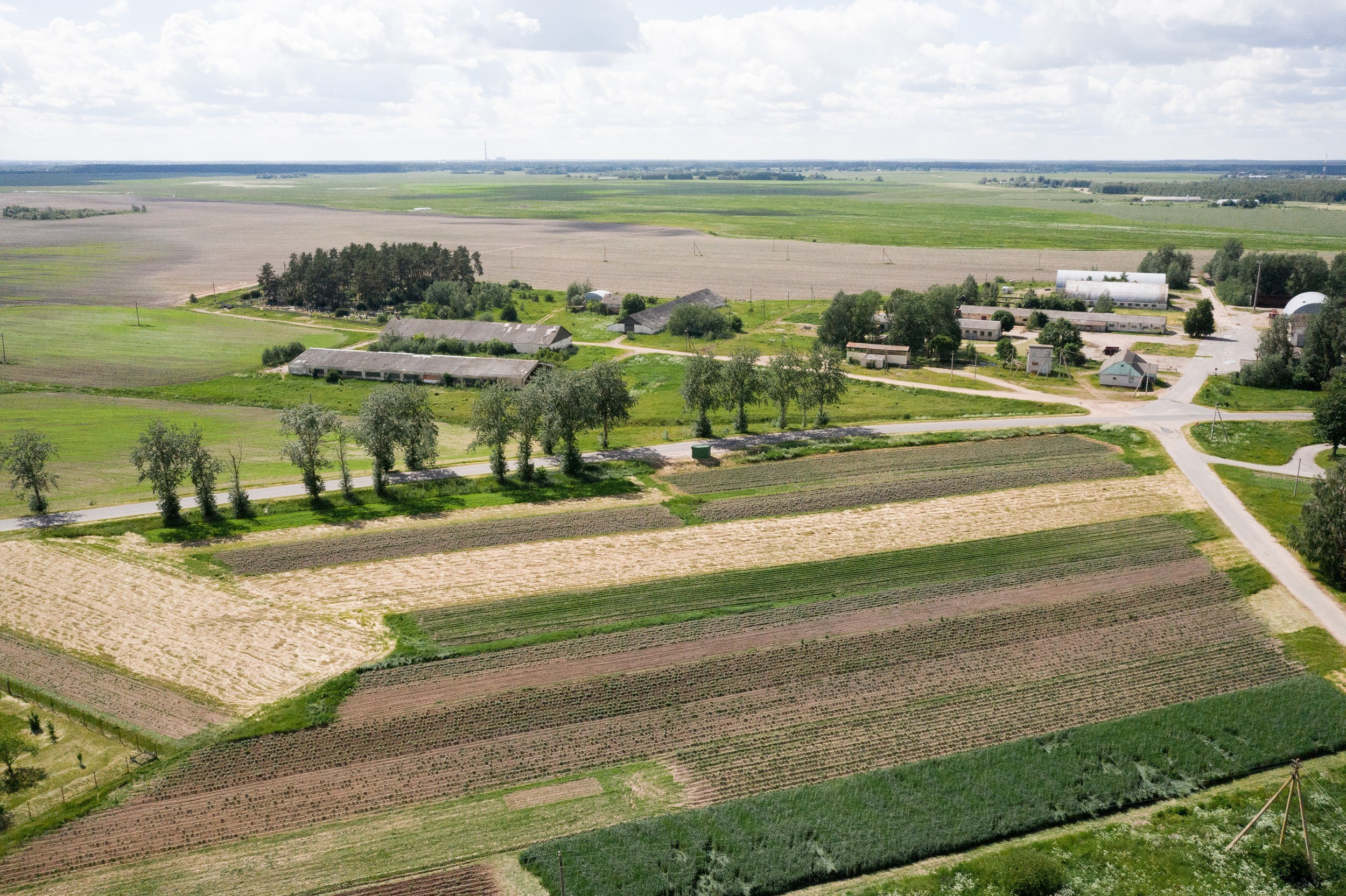 Home.land. Künstler Verstecktoff