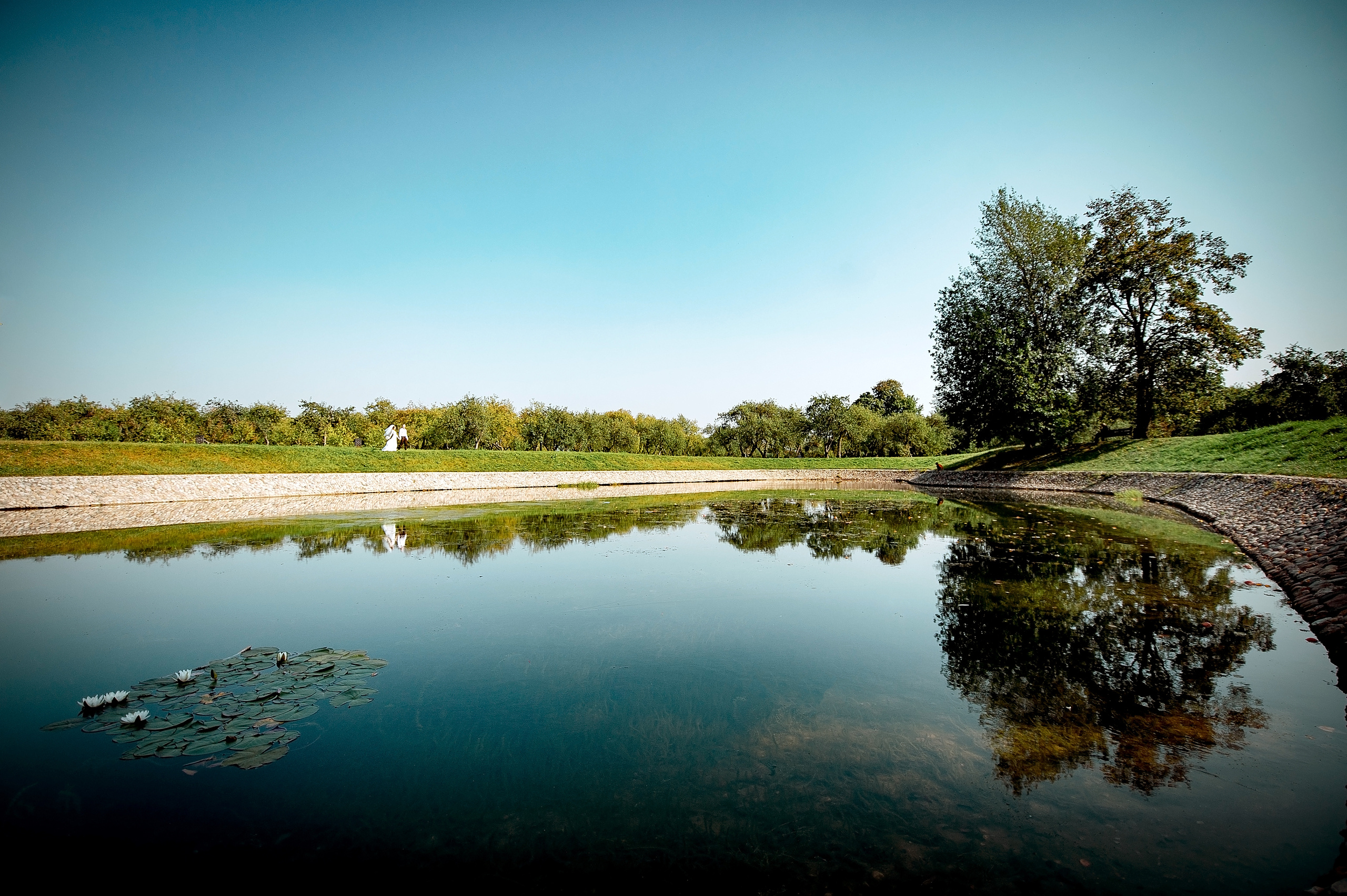 Свадебная фотопрогулка в Коломенском летом. Свадебный и семейный фотограф Виктория Носачёва. Щелково, Москва и МО