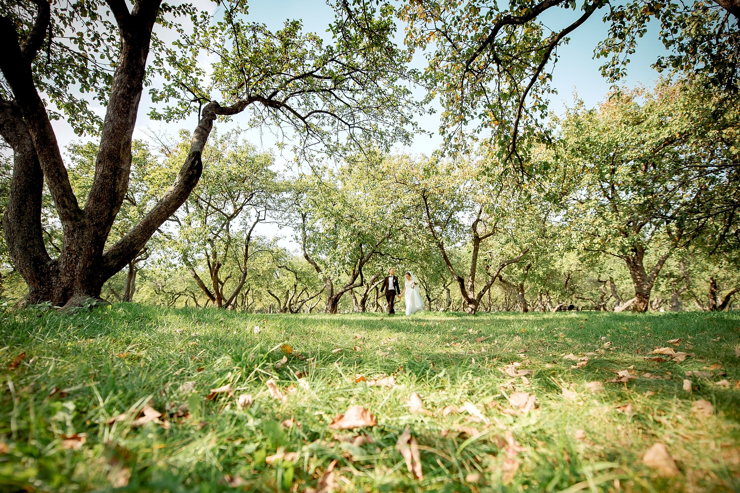 Свадебная фотопрогулка в Коломенском летом. Свадебный и семейный фотограф Виктория Носачёва. Щелково, Москва и МО