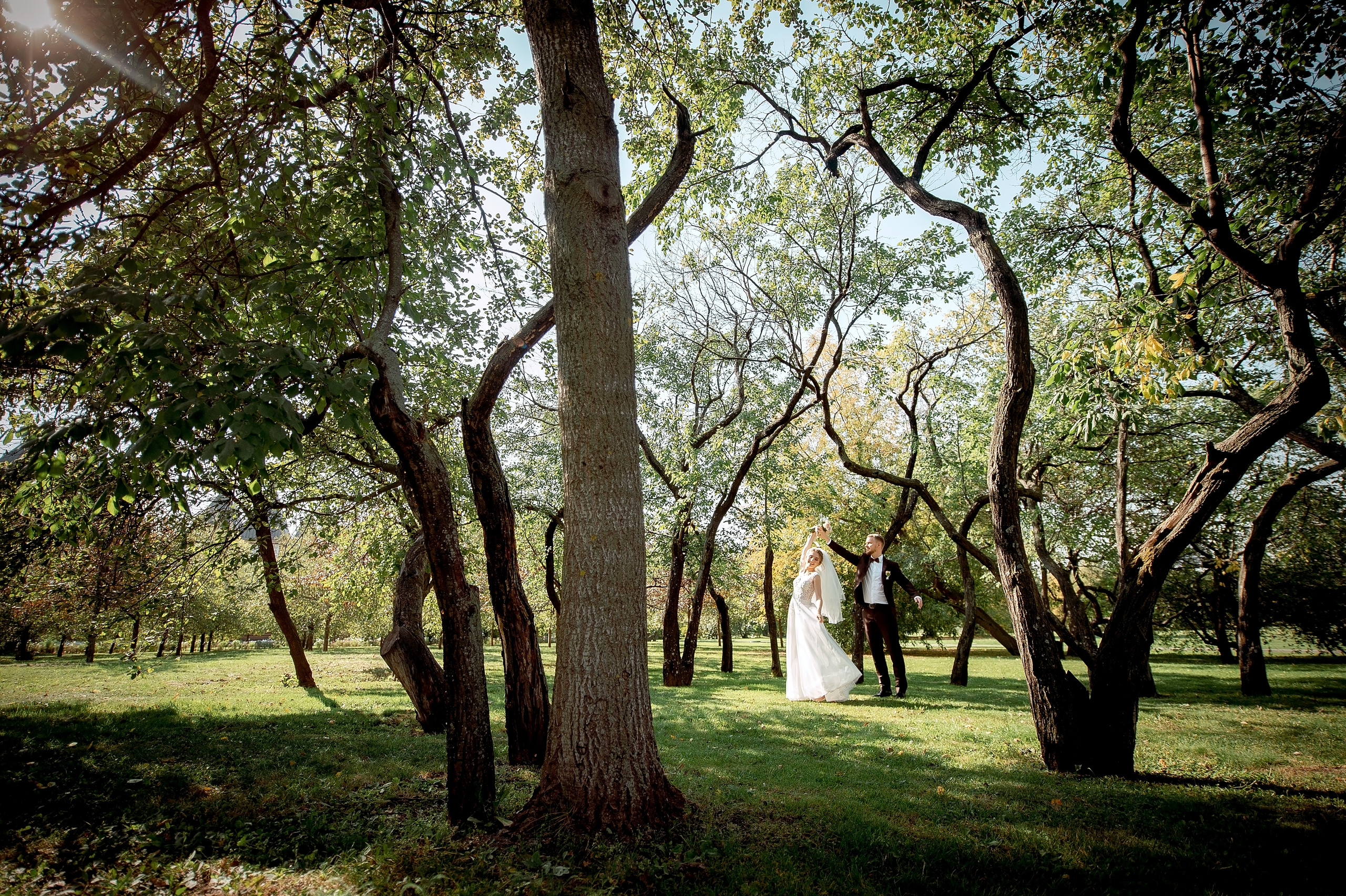 Свадебная фотопрогулка в Коломенском парке.
